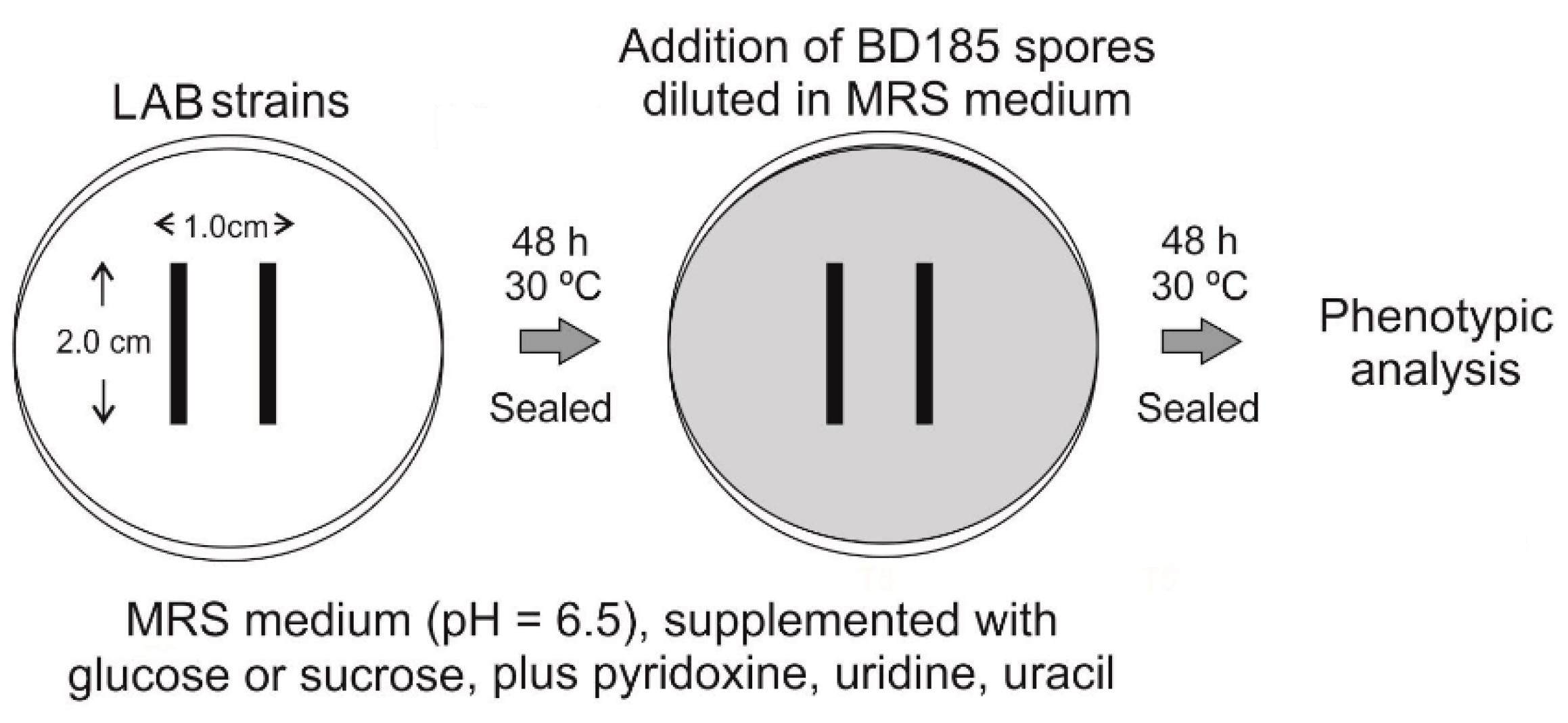 Polymers 12 02106 g002