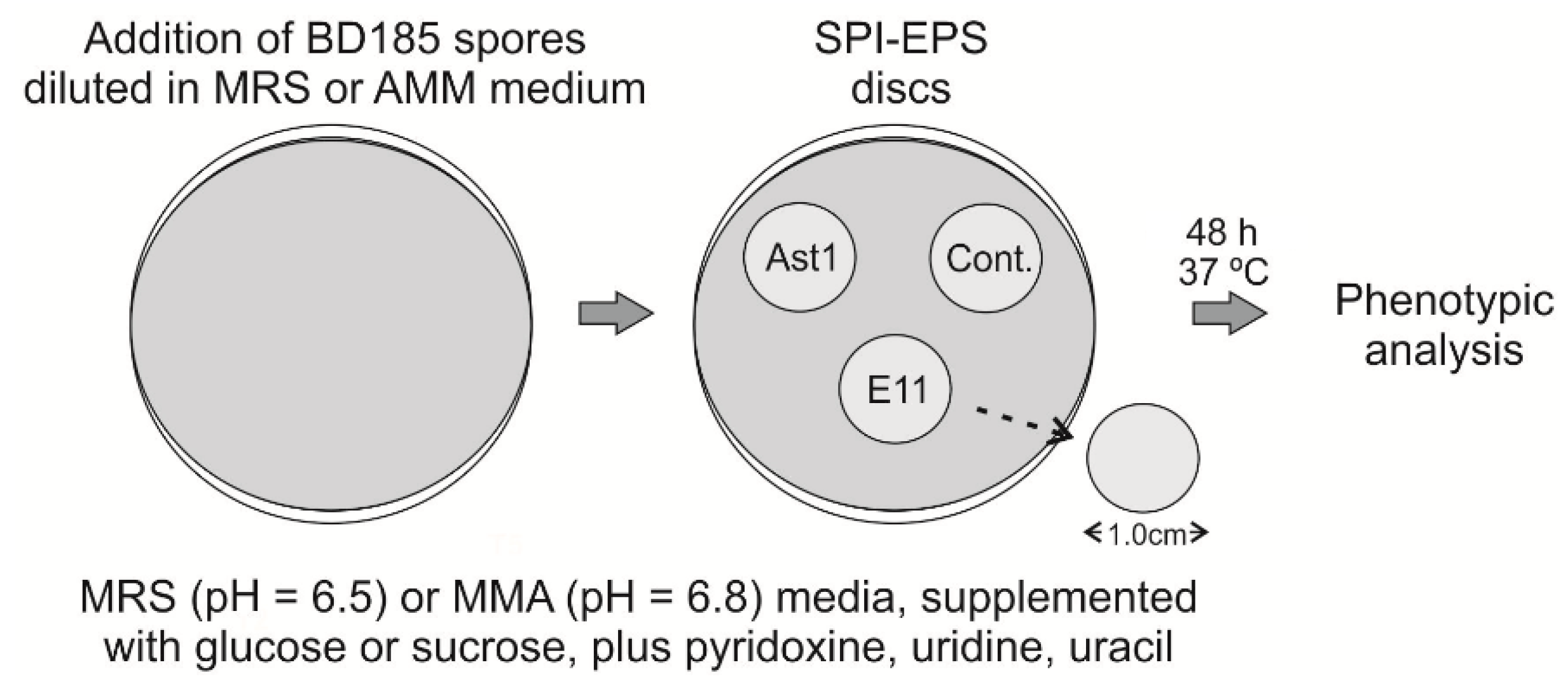 Polymers 12 02106 g003