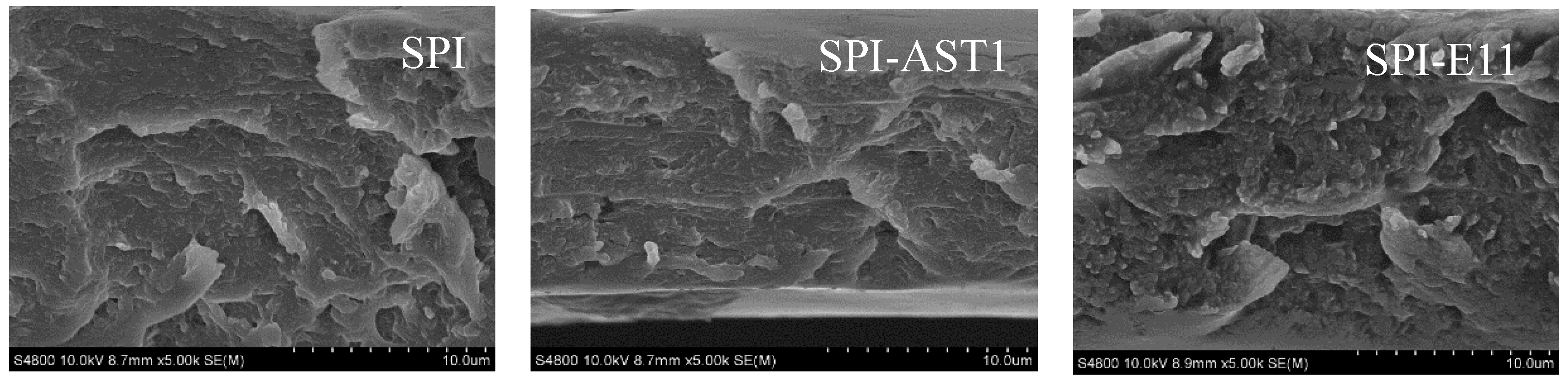 Polymers 12 02106 g010