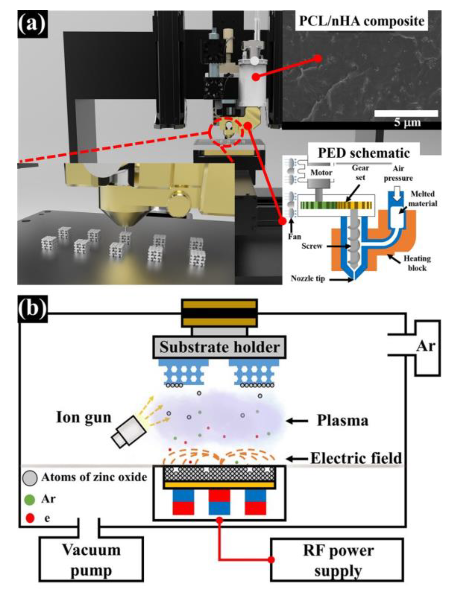 Polymers 12 02193 g001