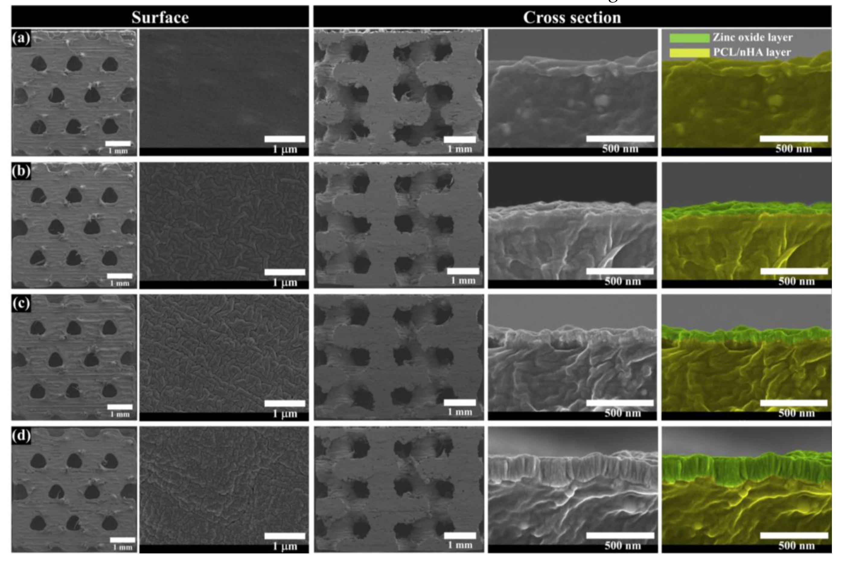 Polymers 12 02193 g002