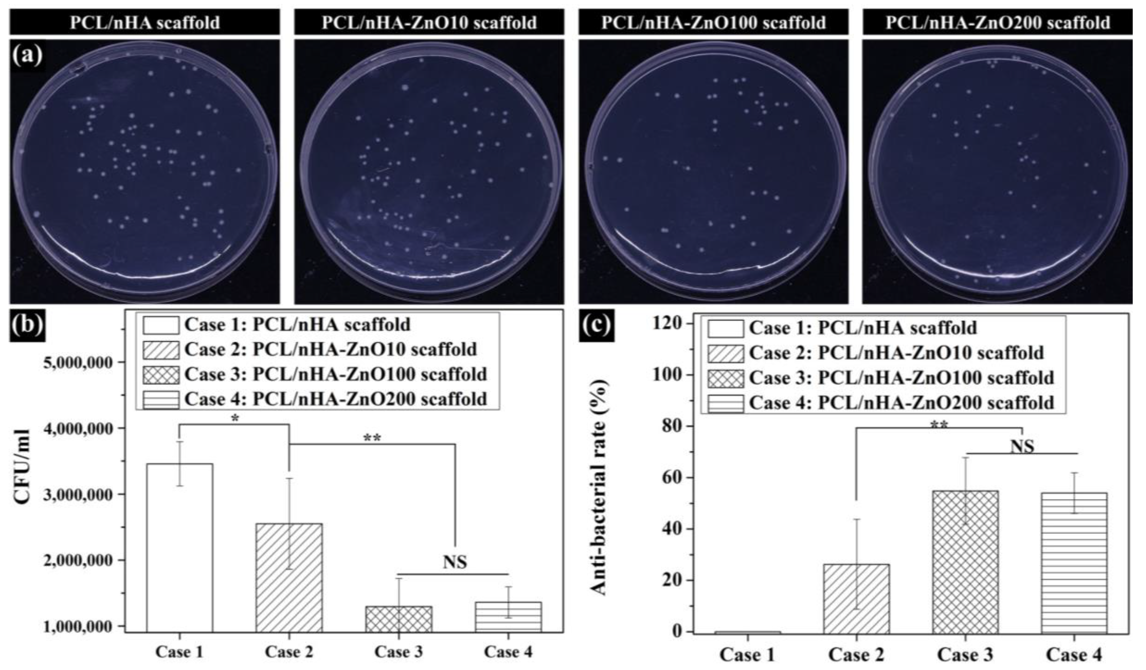 Polymers 12 02193 g007