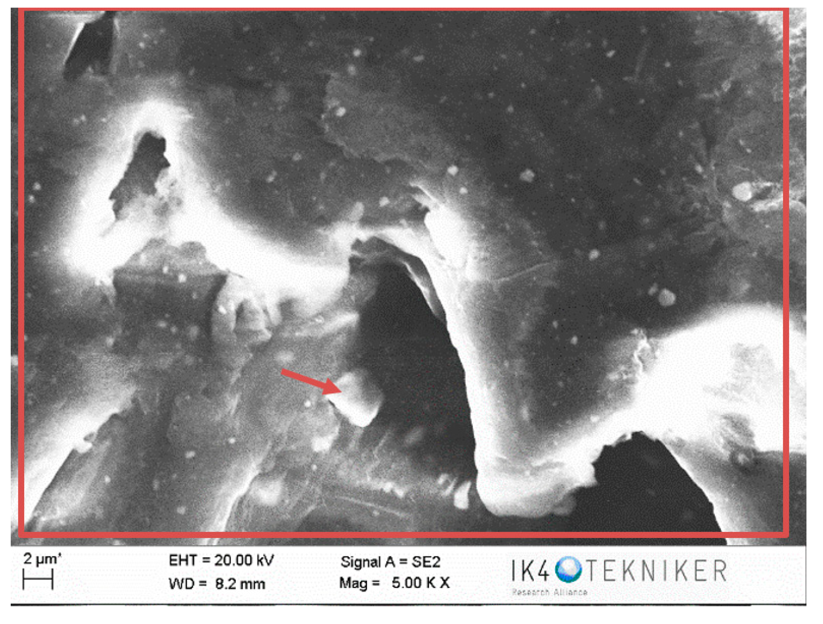 Polymers 12 02253 g013