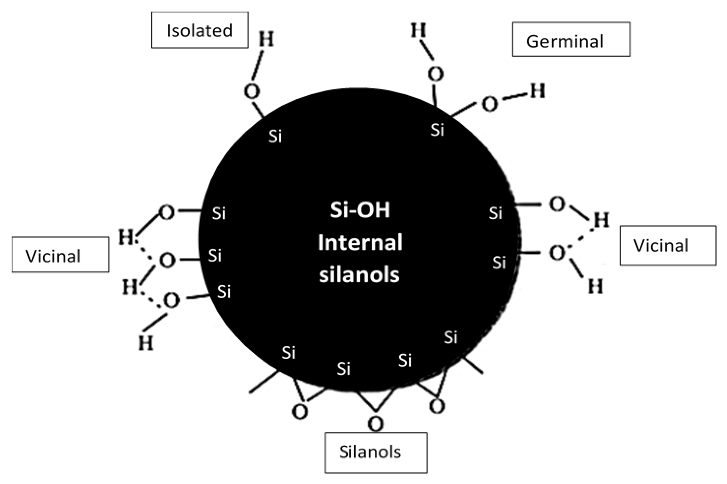 Polymers 12 02579 g002