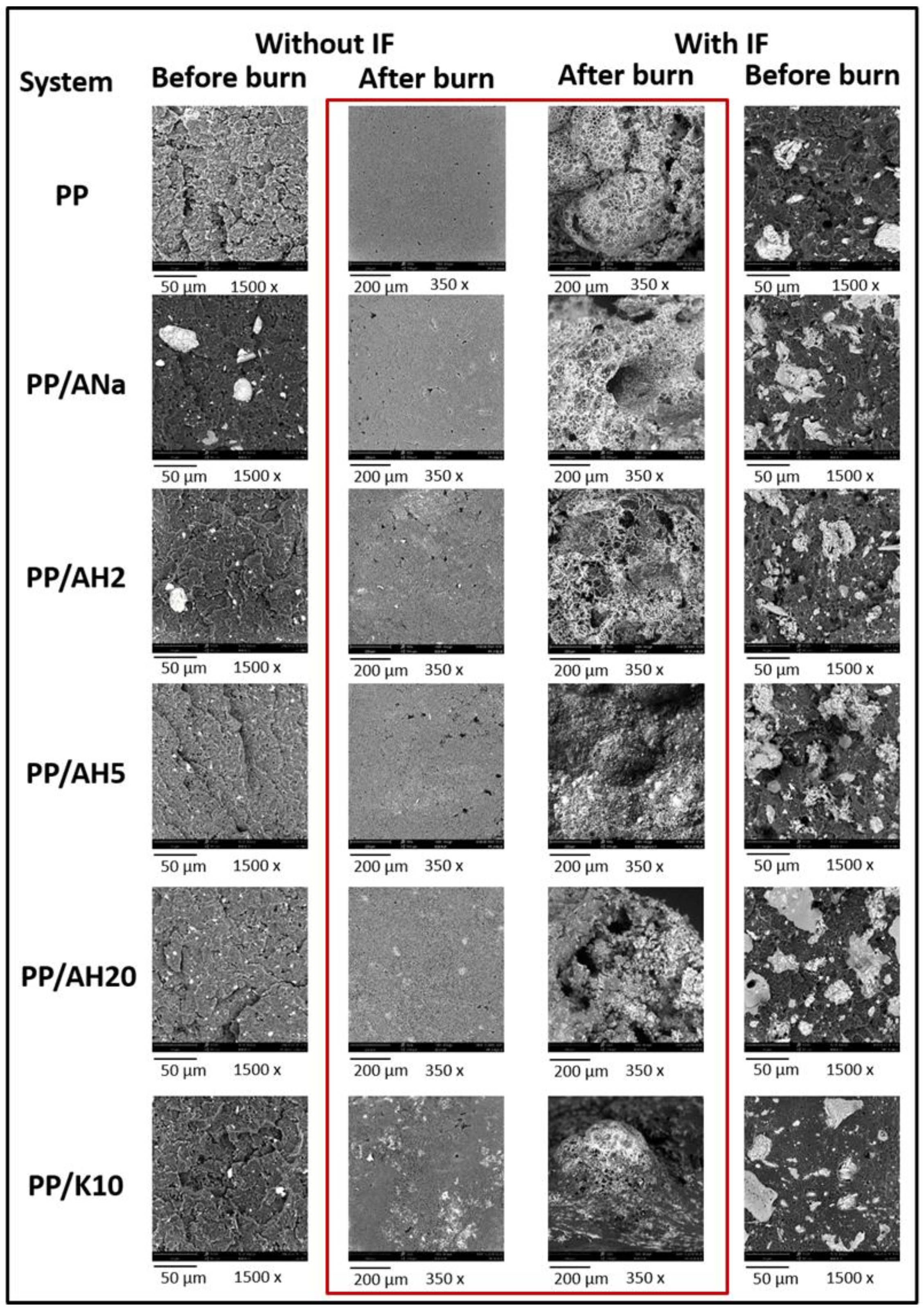 Polymers 12 02781 g005