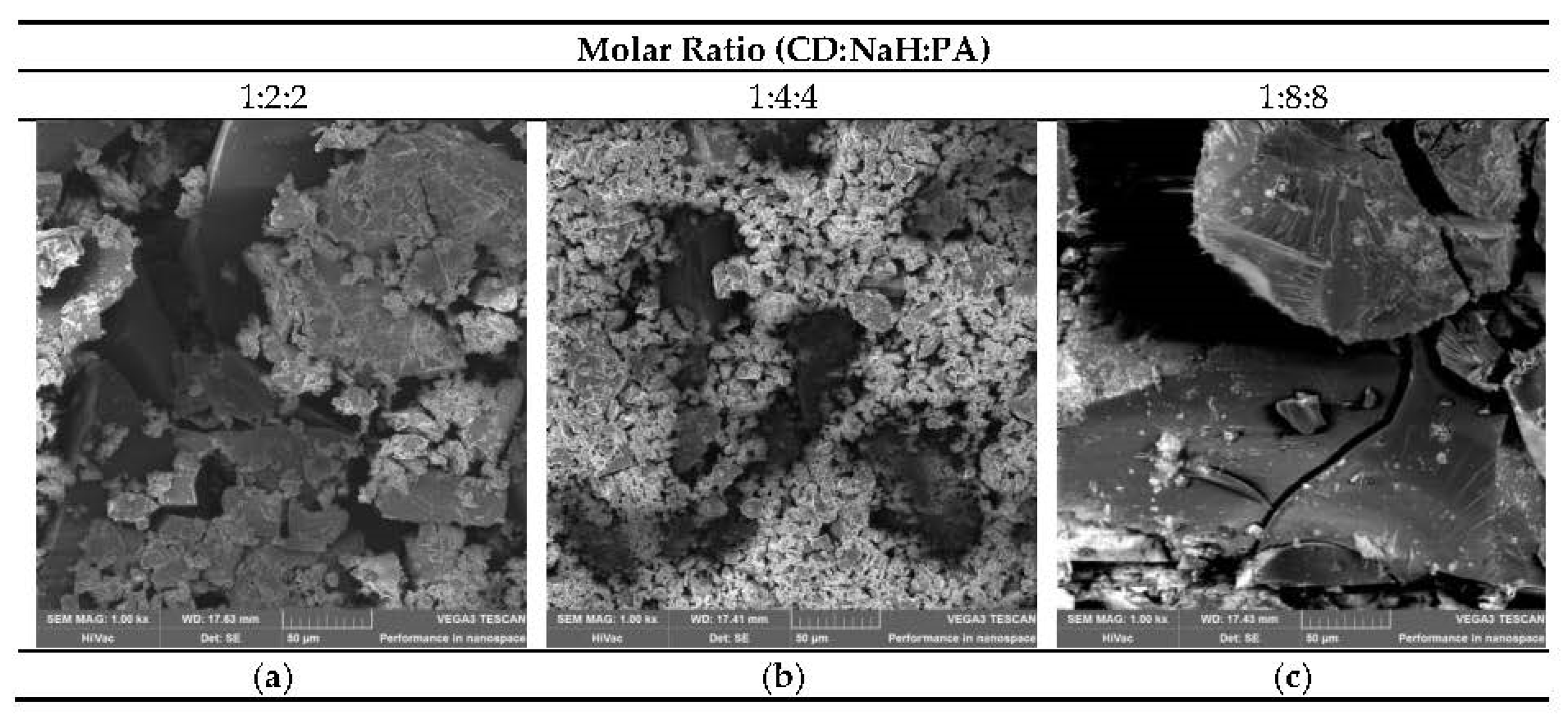 Polymers 12 02845 g011