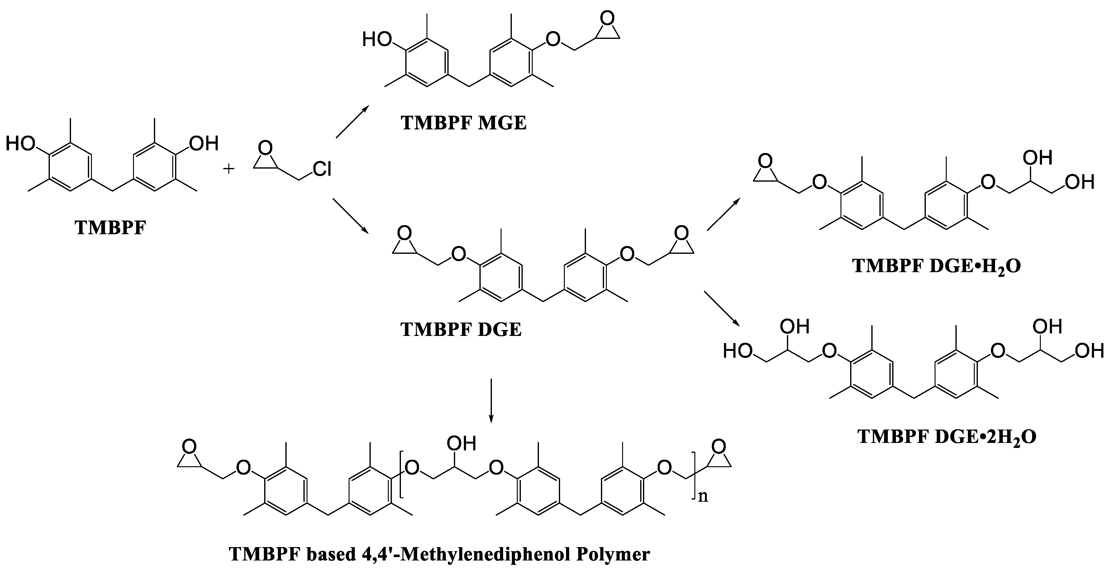 Polymers 12 02846 g003