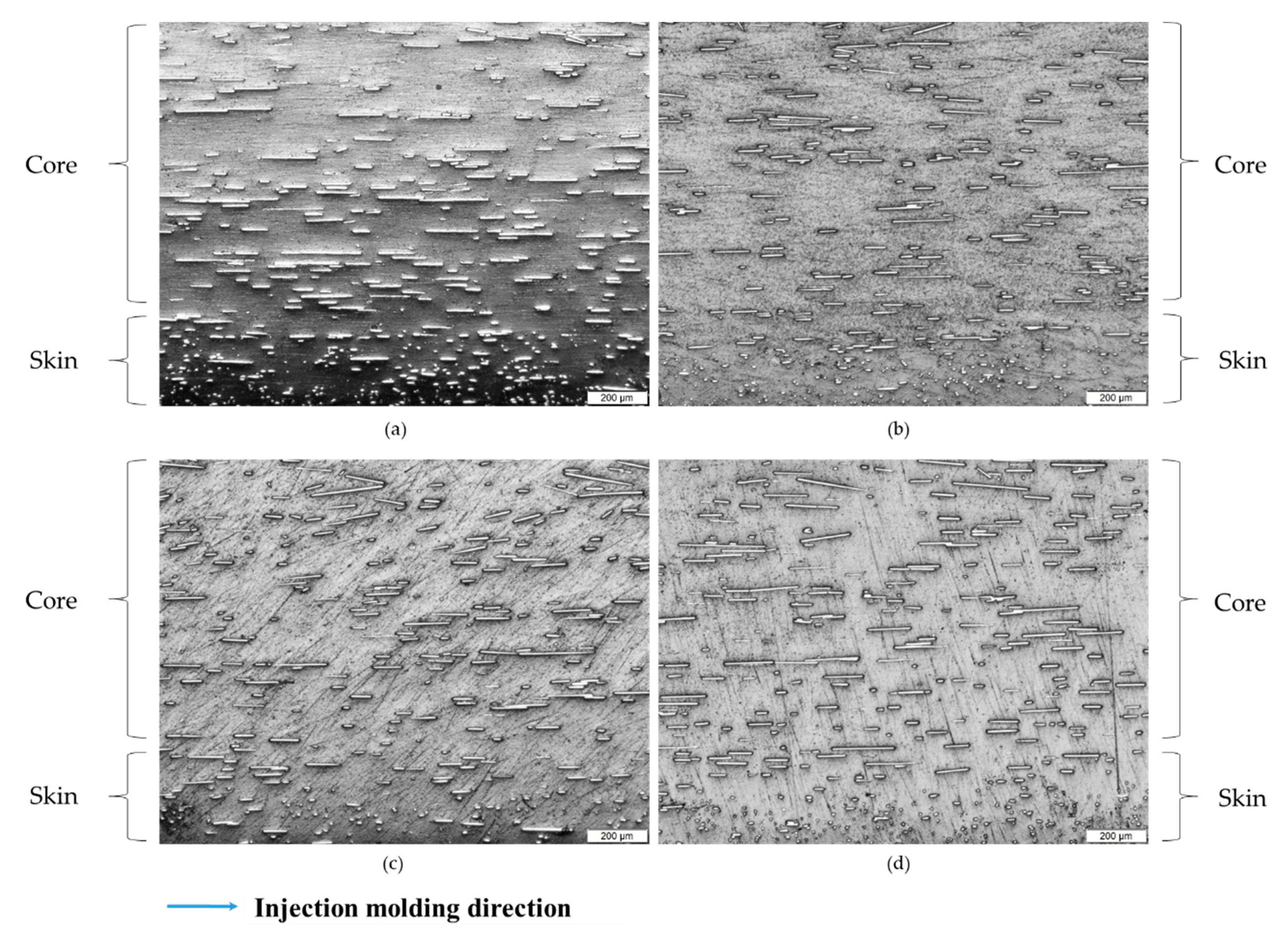 Polymers 12 02851 g004
