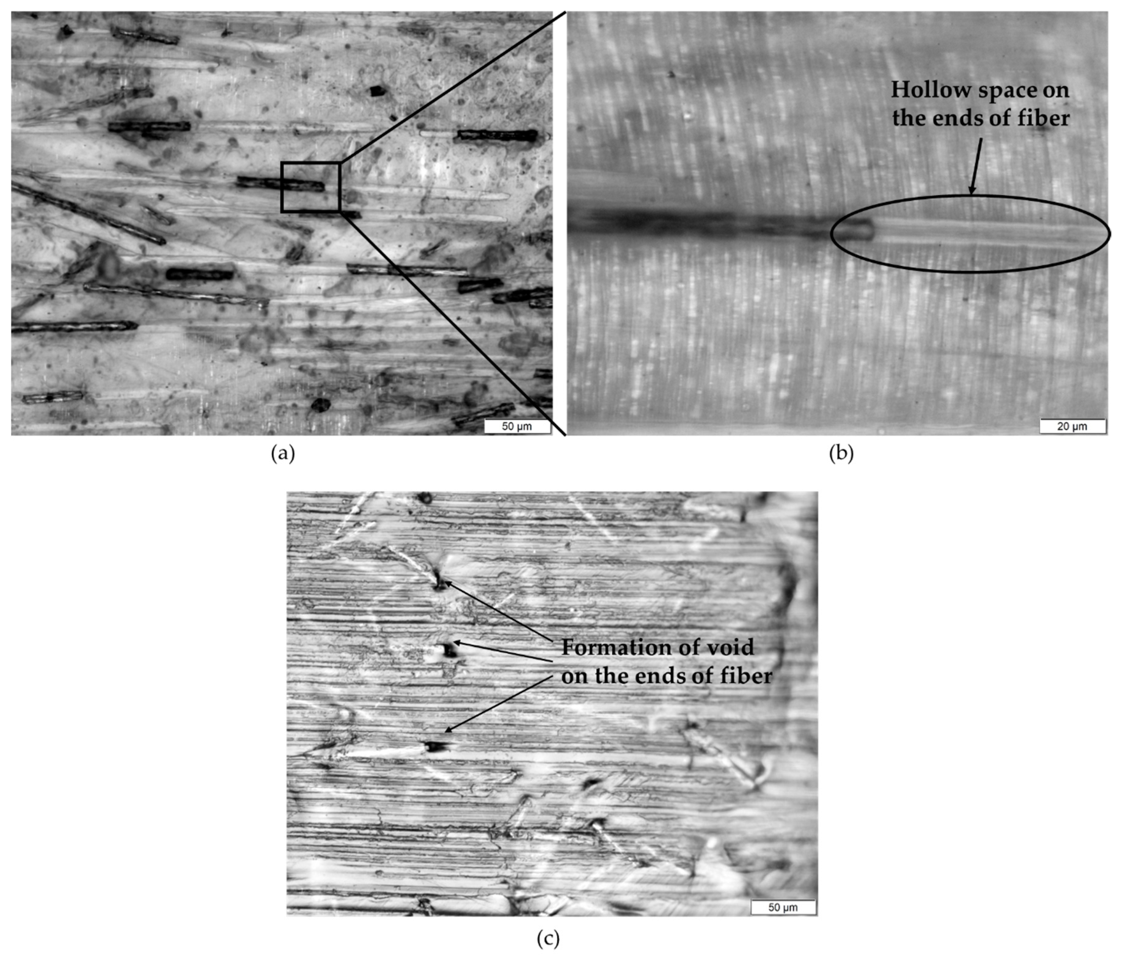 Polymers 12 02851 g005
