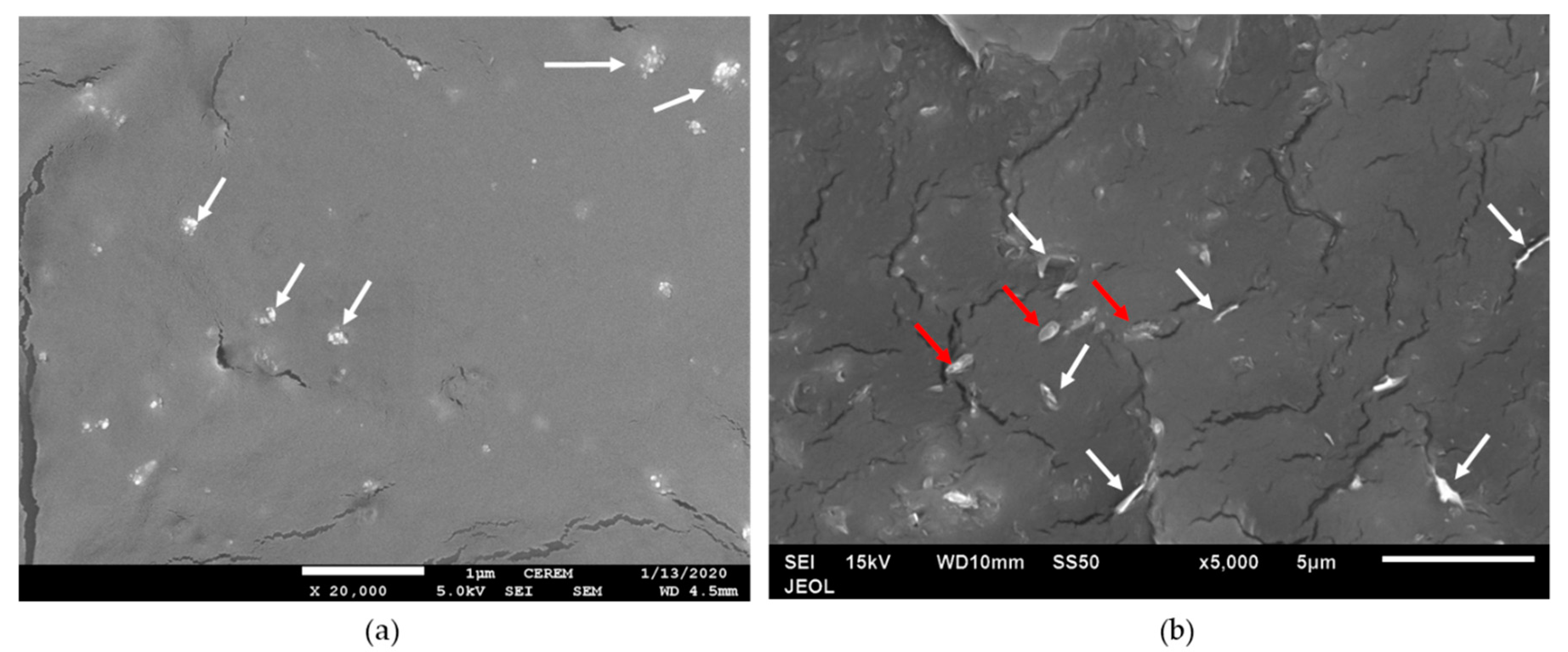 Polymers 12 02851 g006