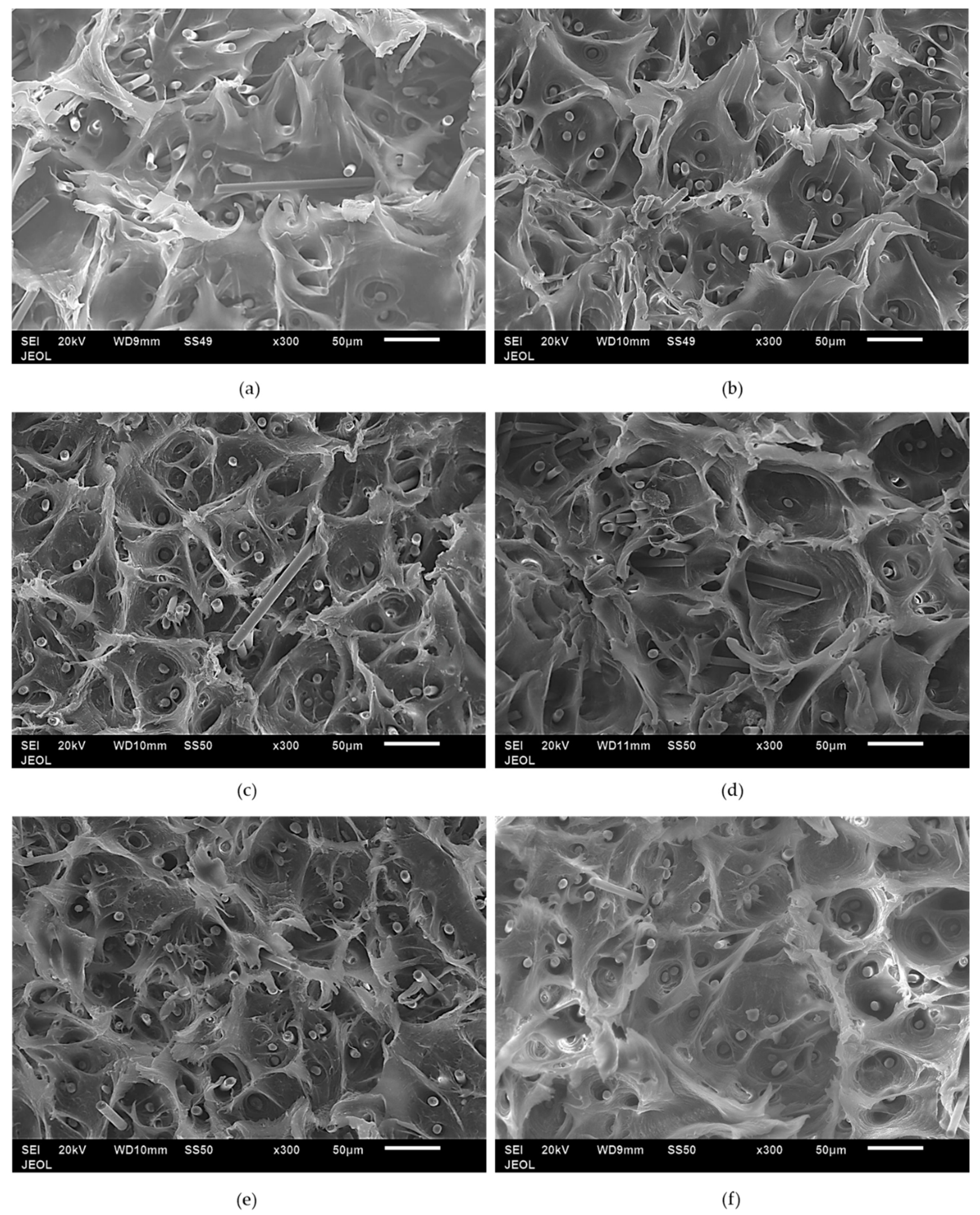 Polymers 12 02851 g008