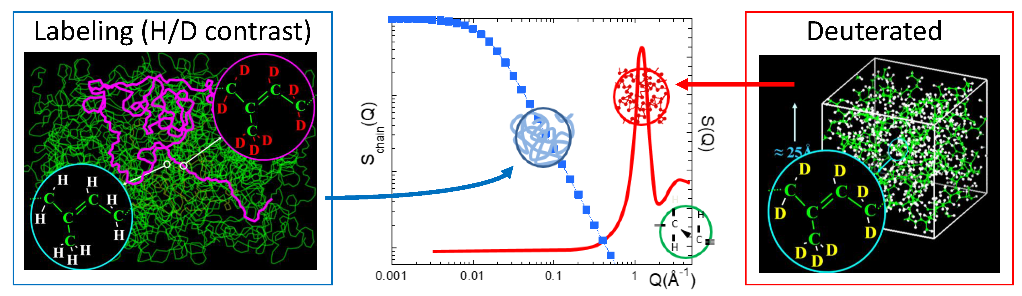 Polymers 12 03067 g001