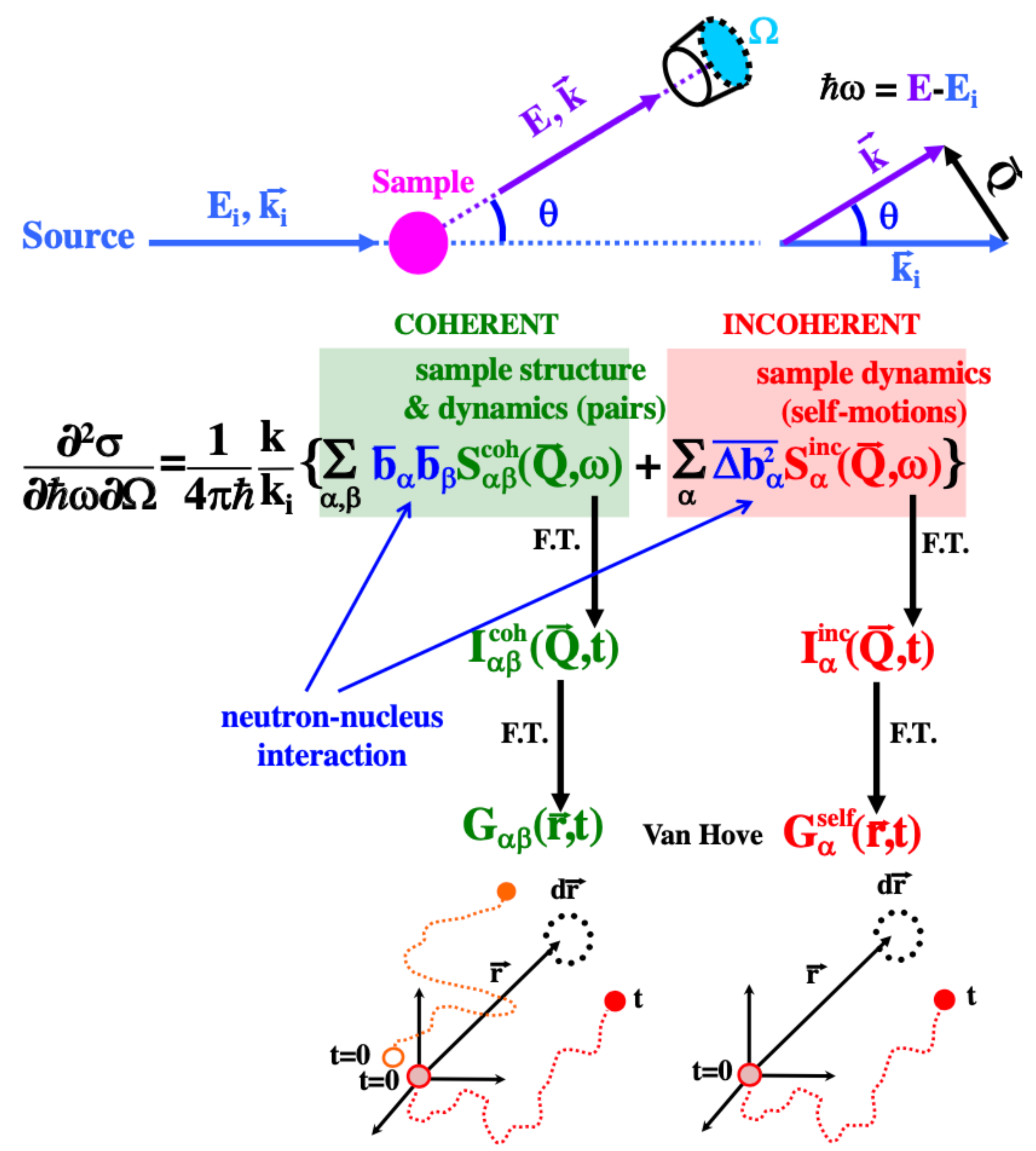 Polymers 12 03067 g002