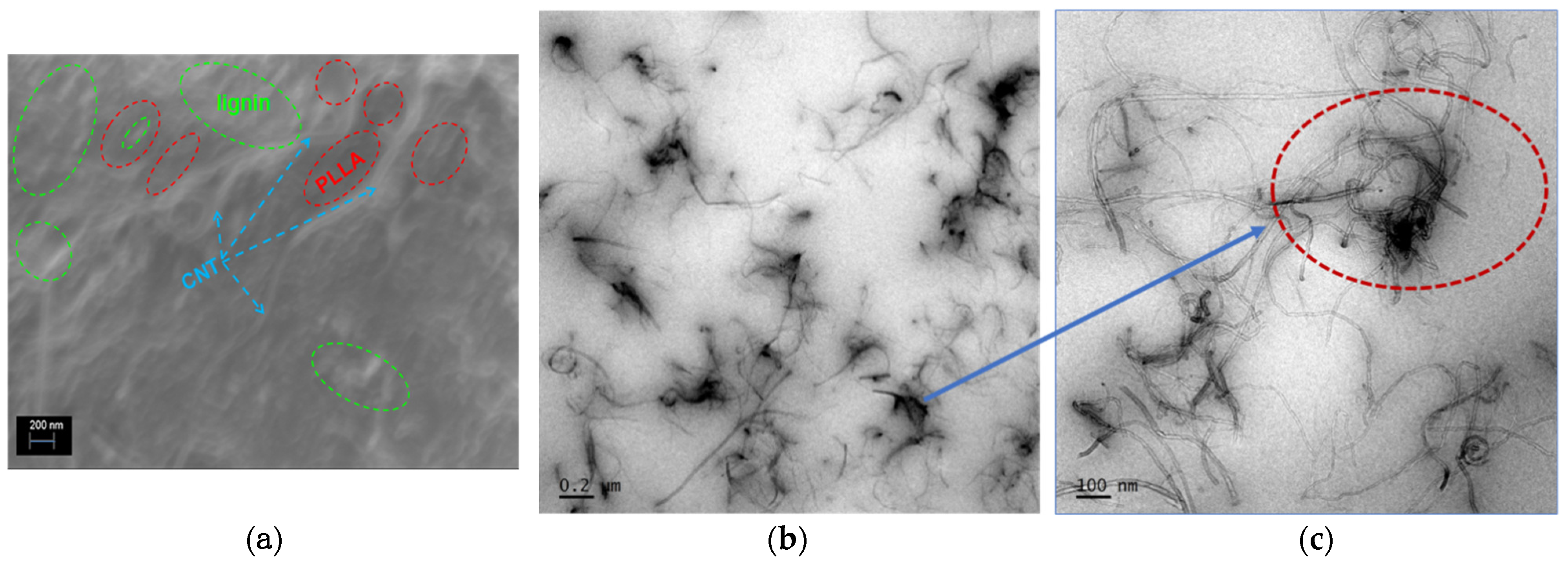 Polymers 13 00272 g001