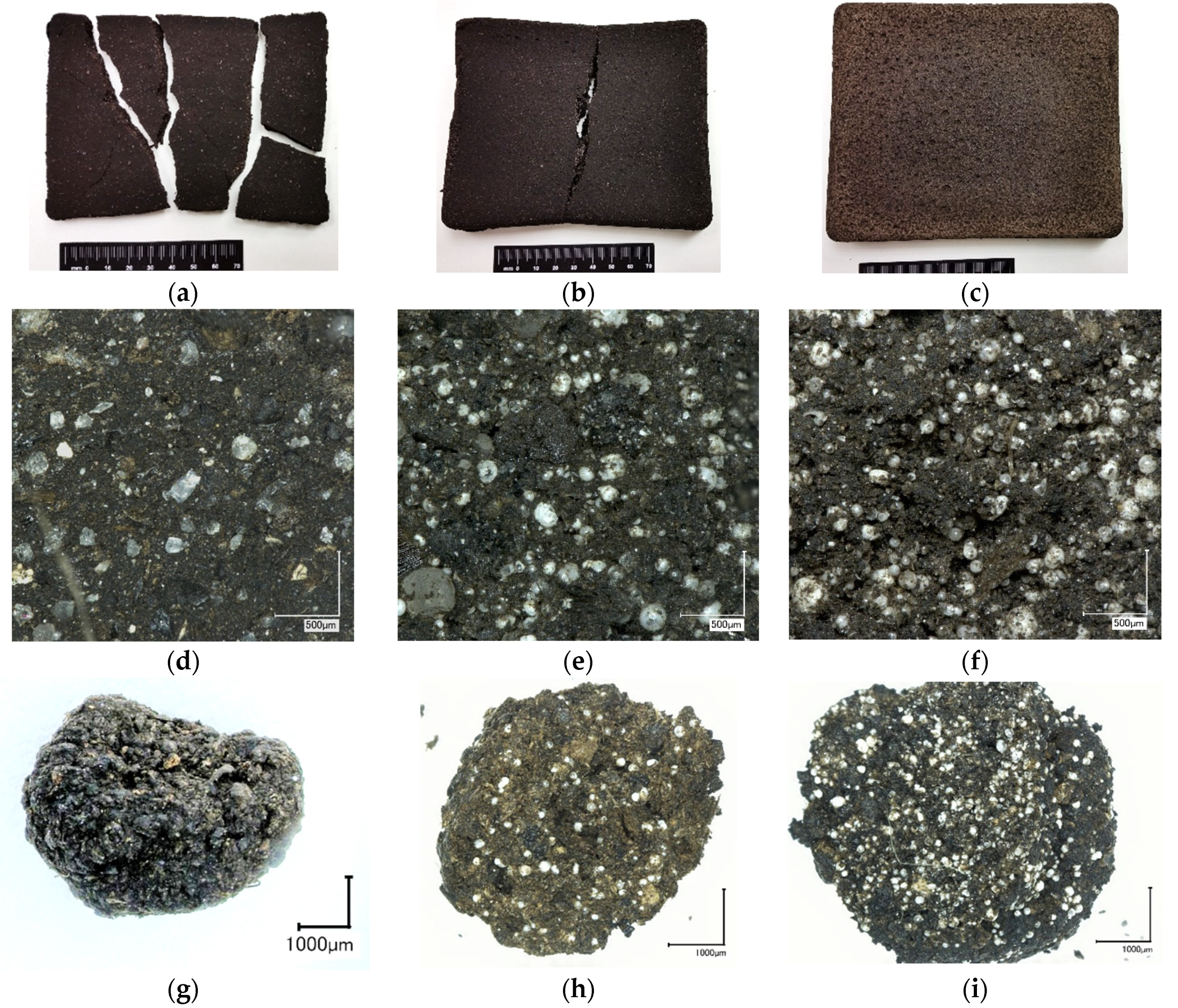 Polymers 13 00574 g007 Polymers 13 00574 g007