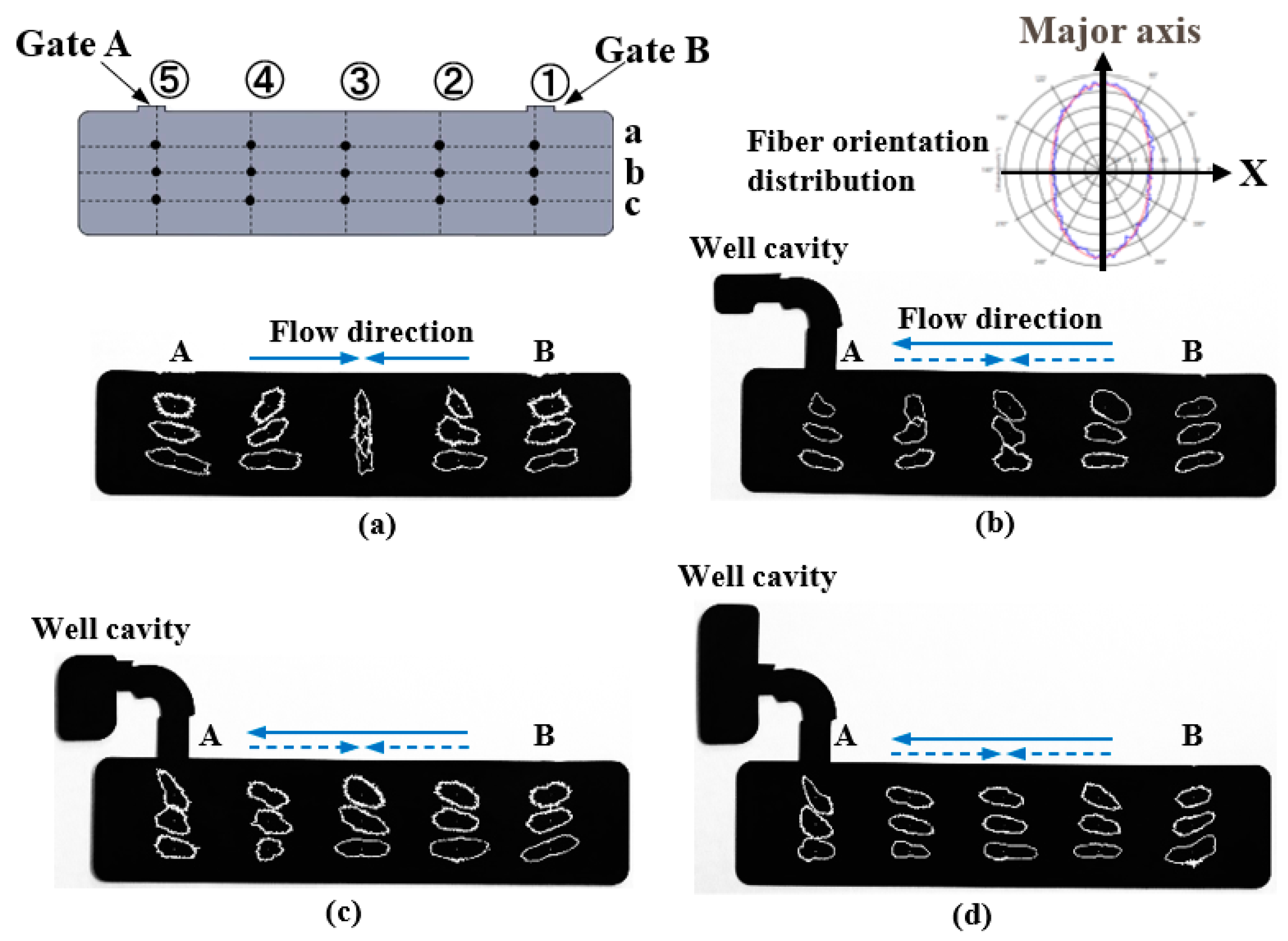 Polymers 13 00587 g014