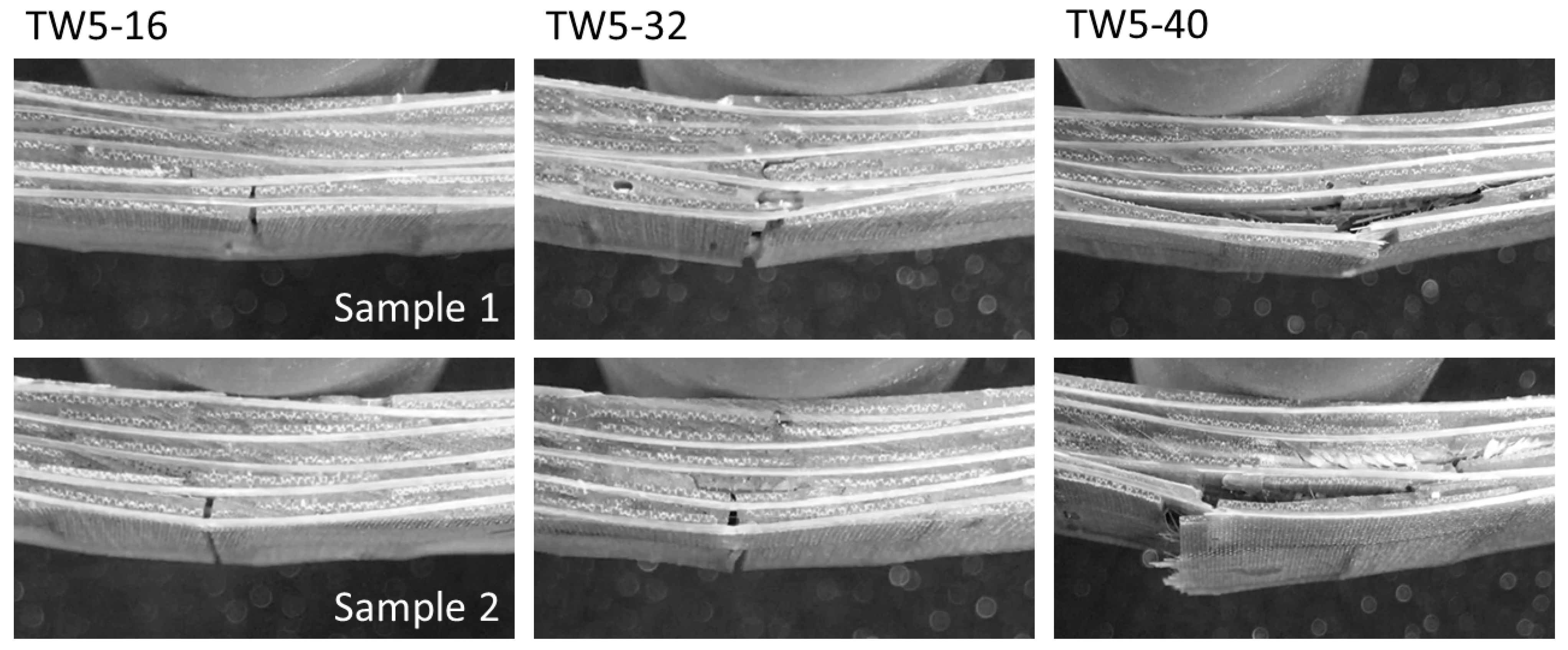 Polymers 13 00634 g007
