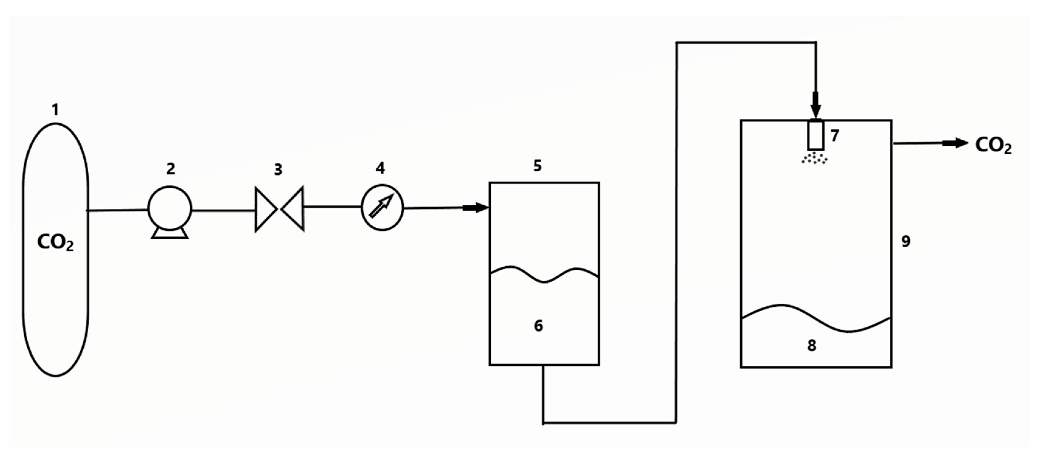 Polymers 13 00729 g006