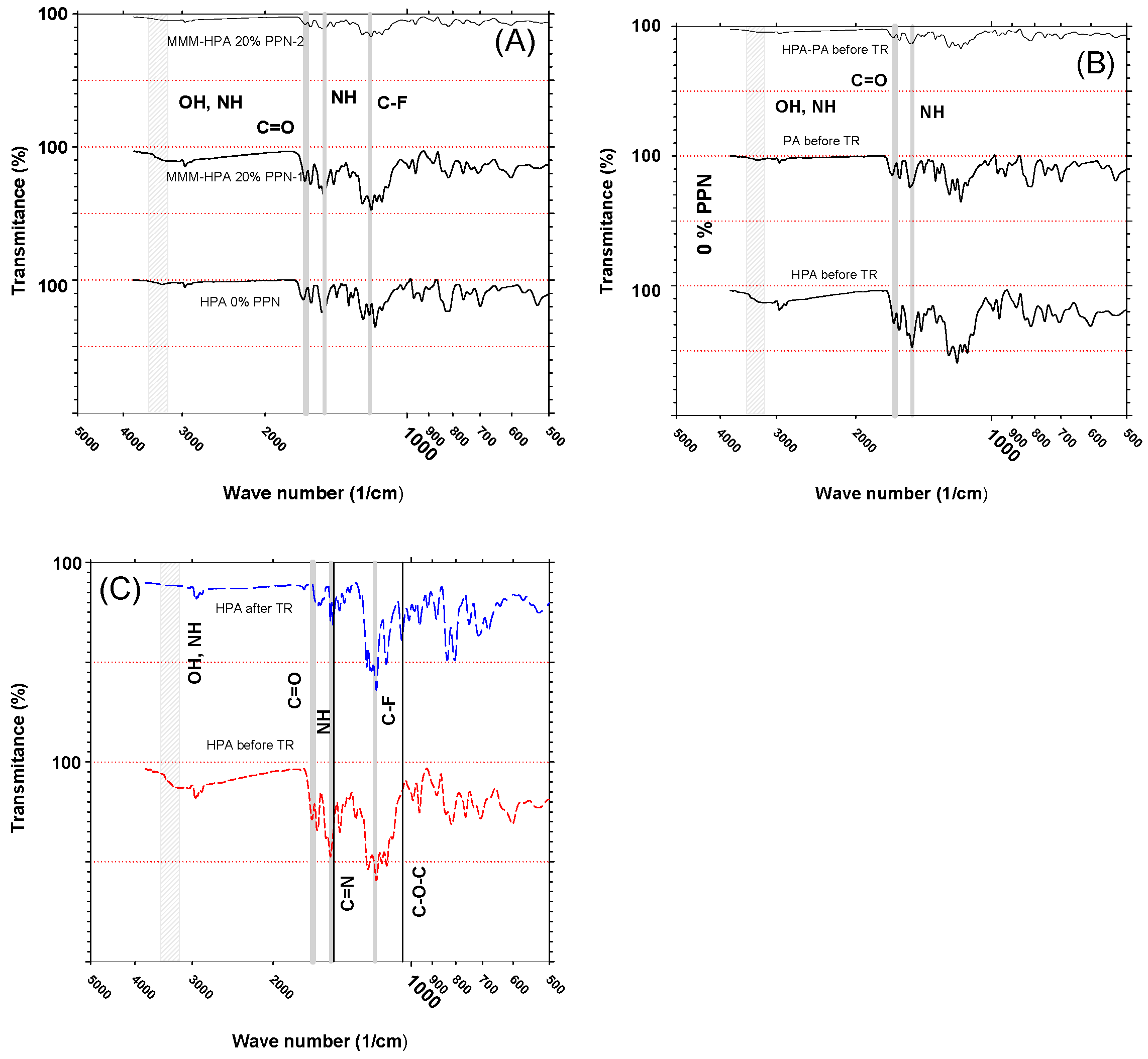 Polymers 13 00931 g005
