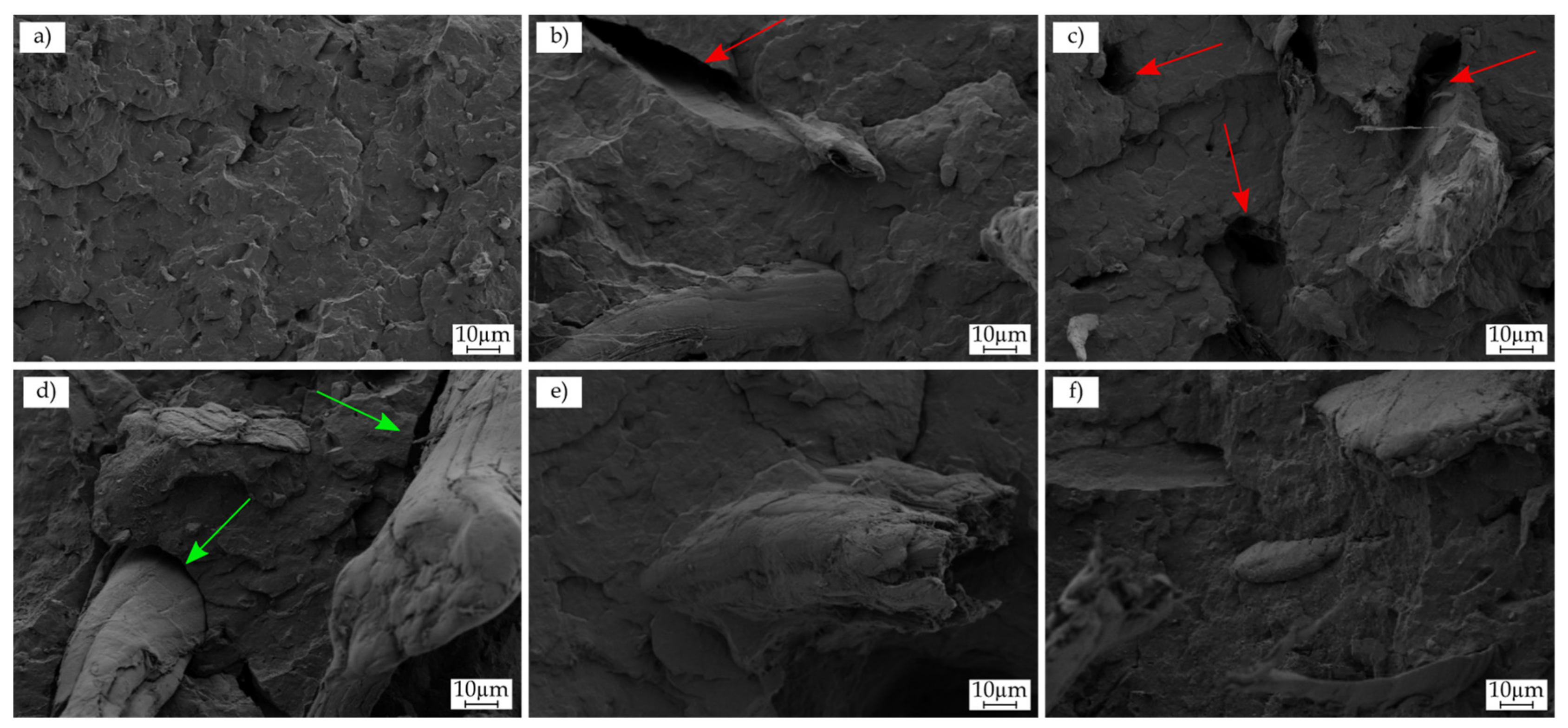 Polymers 13 01248 g002 Polymers 13 01248 g002
