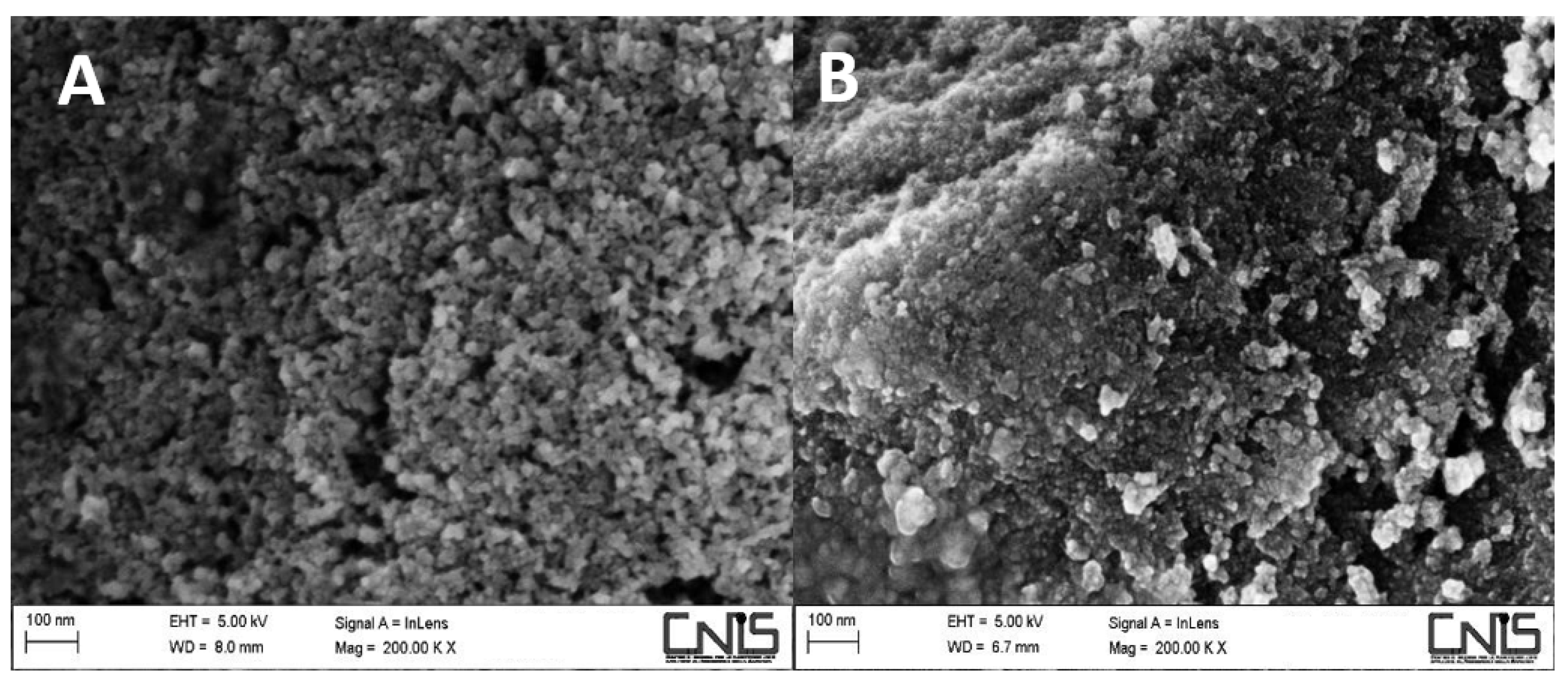 Polymers 13 01453 g001