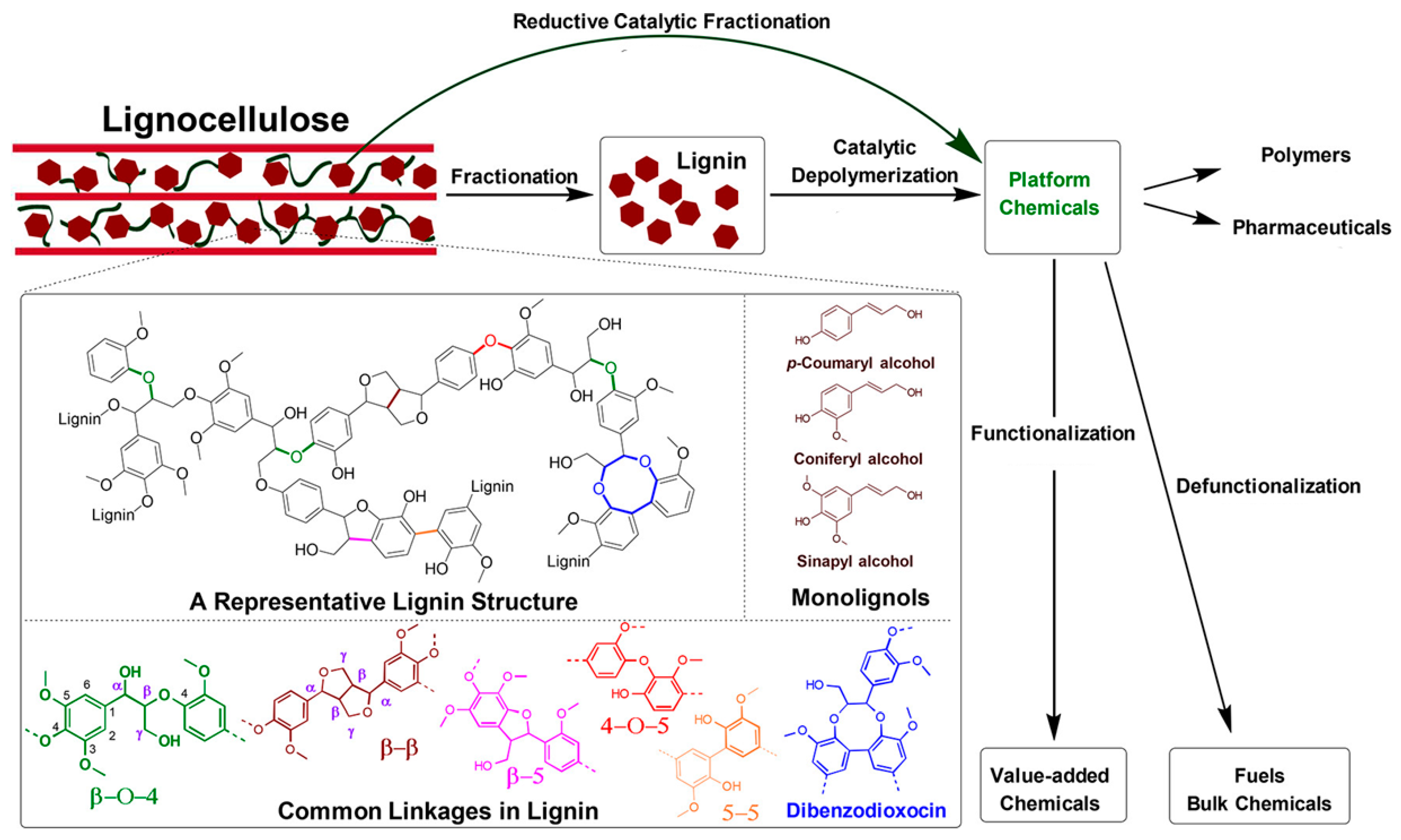 Polymers 13 01530 g002