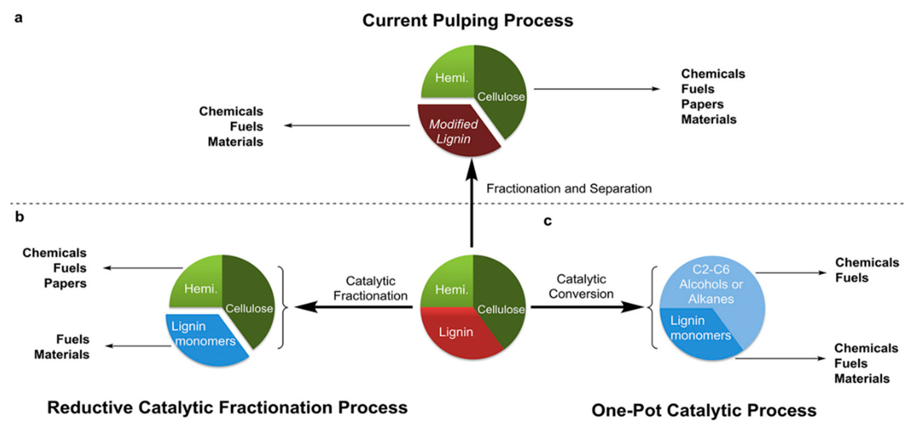 Polymers 13 01530 g003