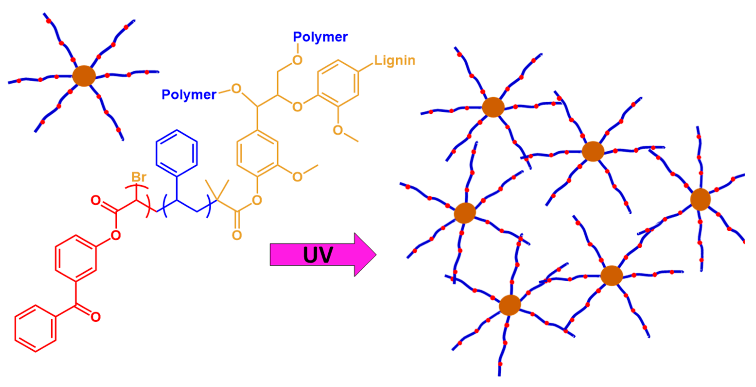 Polymers 13 01530 g007