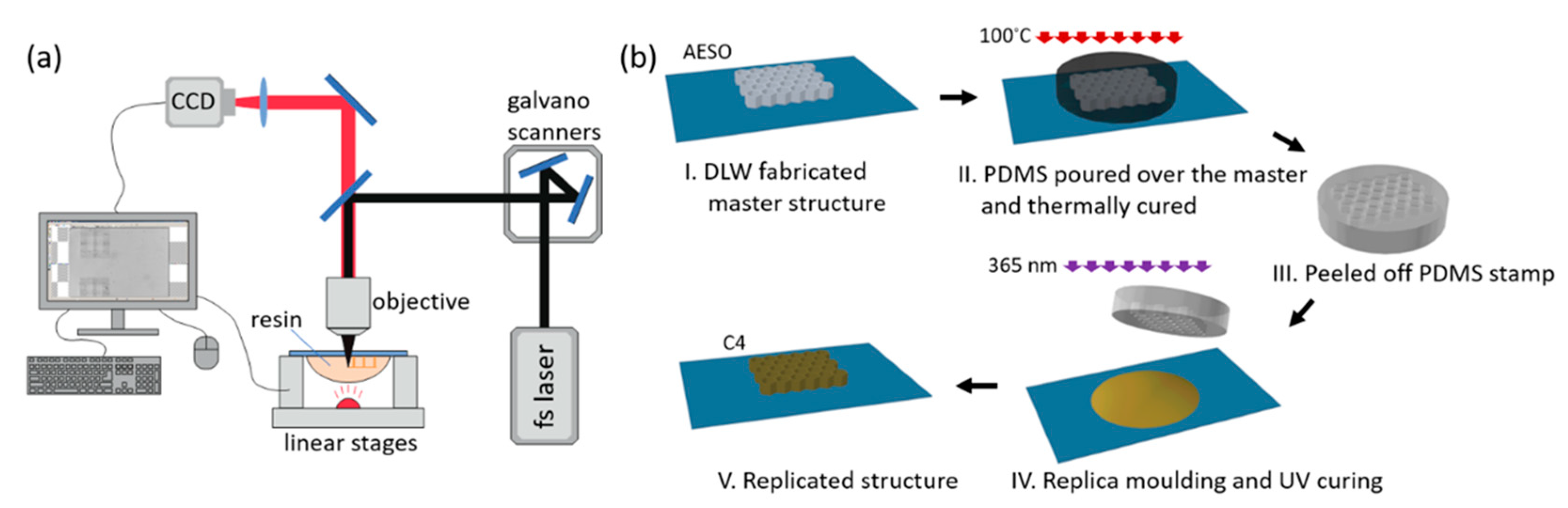 Polymers 13 01530 g011