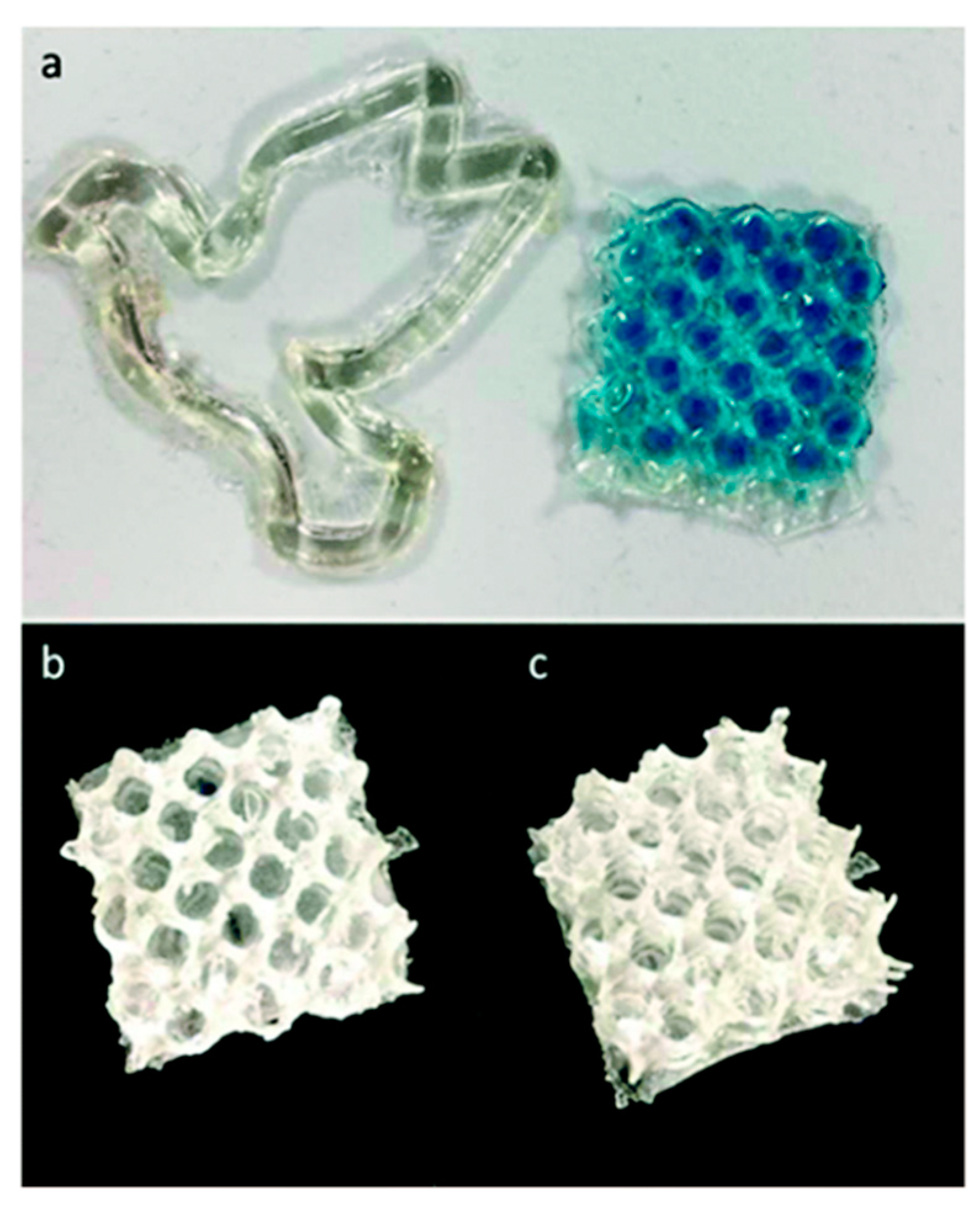 Polymers 13 01530 g020