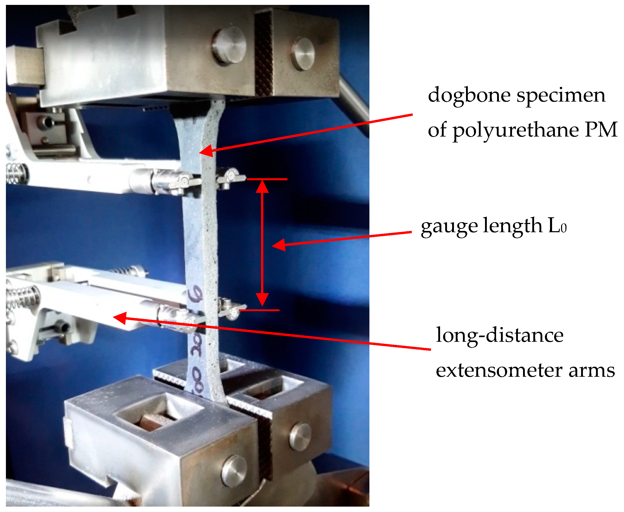 Polymers 13 01639 g003