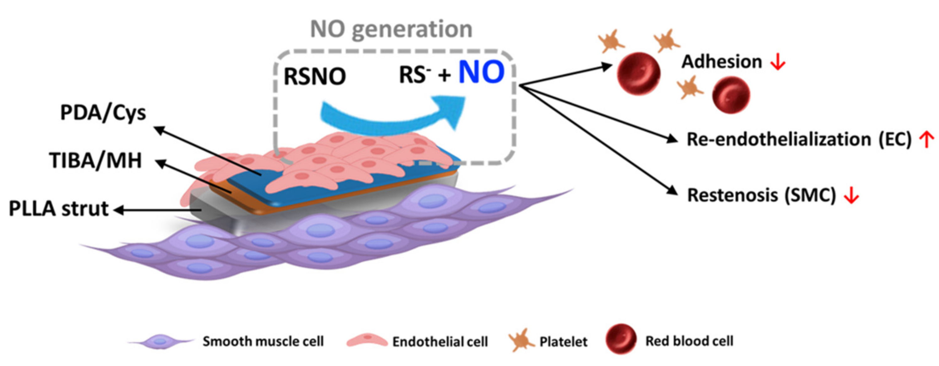 Polymers 13 01979 sch001
