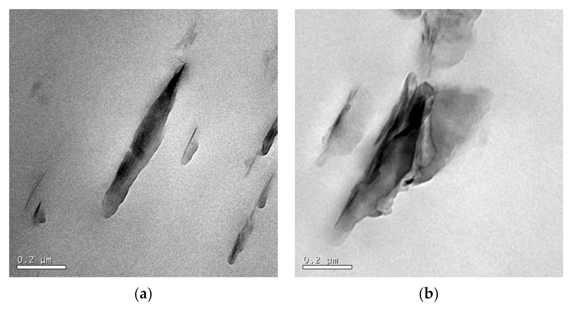 Polymers 13 02399 g025