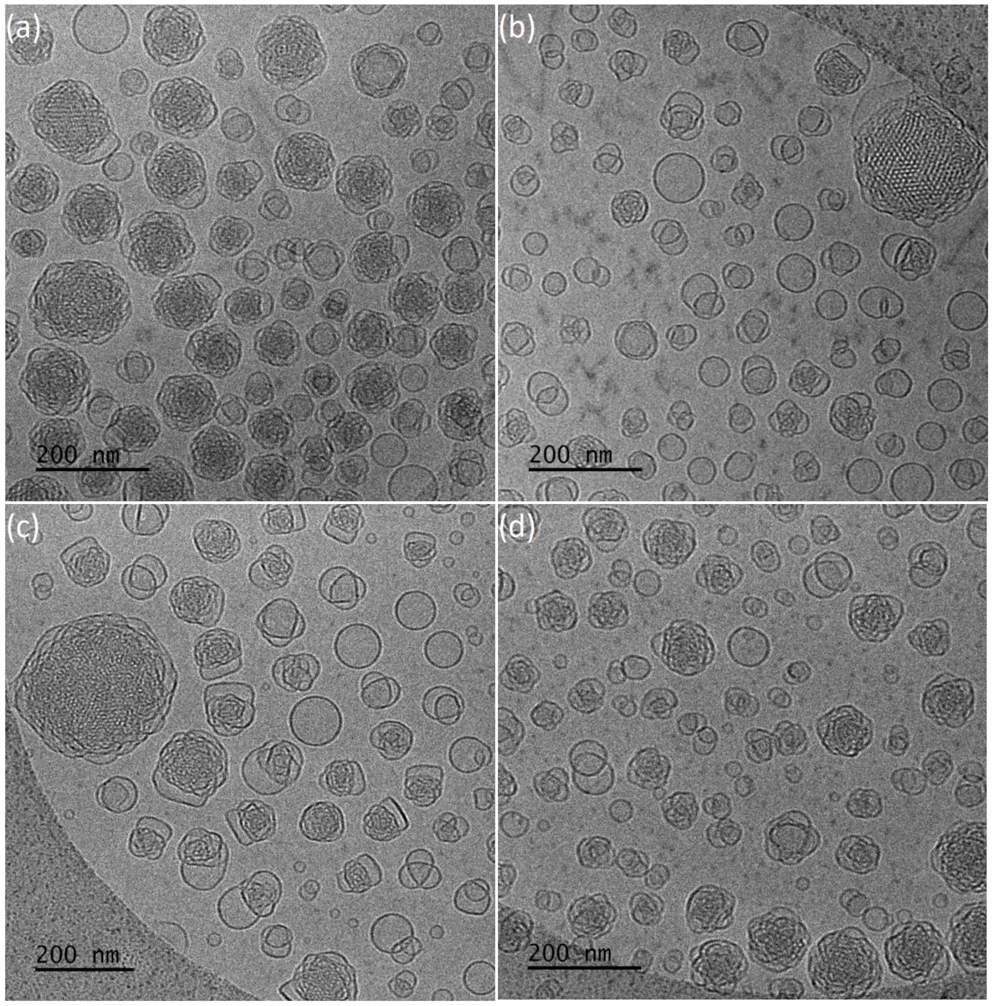 Polymers 13 02607 g004 Polymers 13 02607 g004