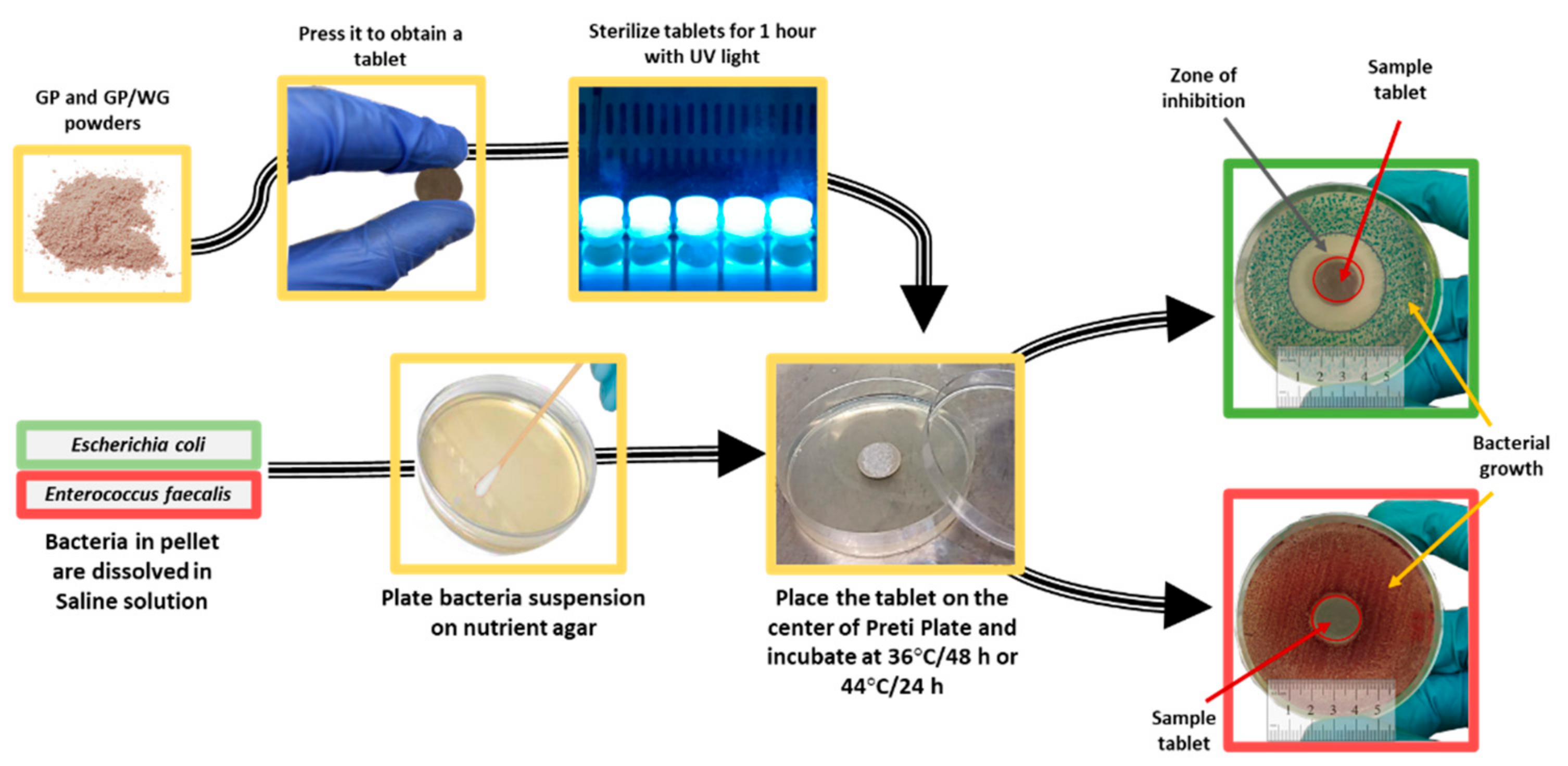 Polymers 13 02970 g003