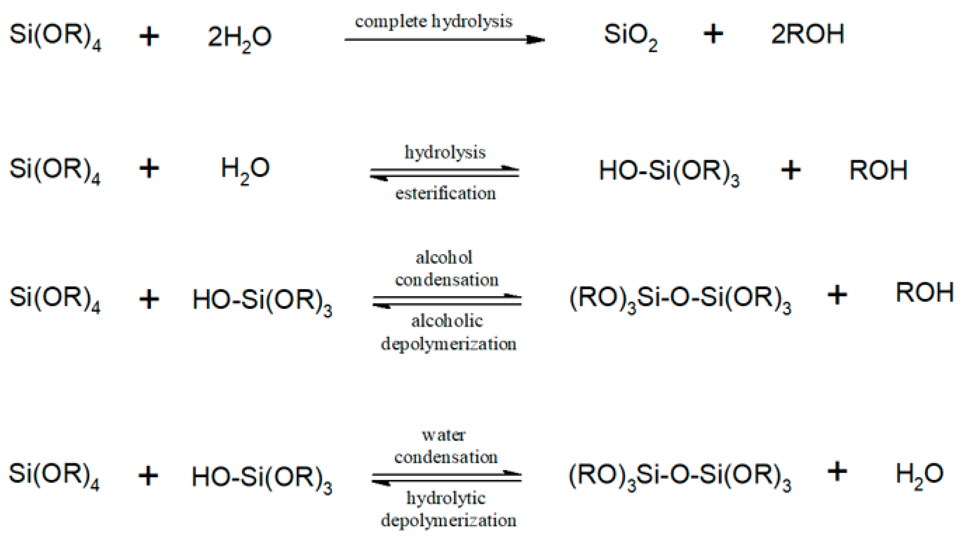 Polymers 13 03338 g001