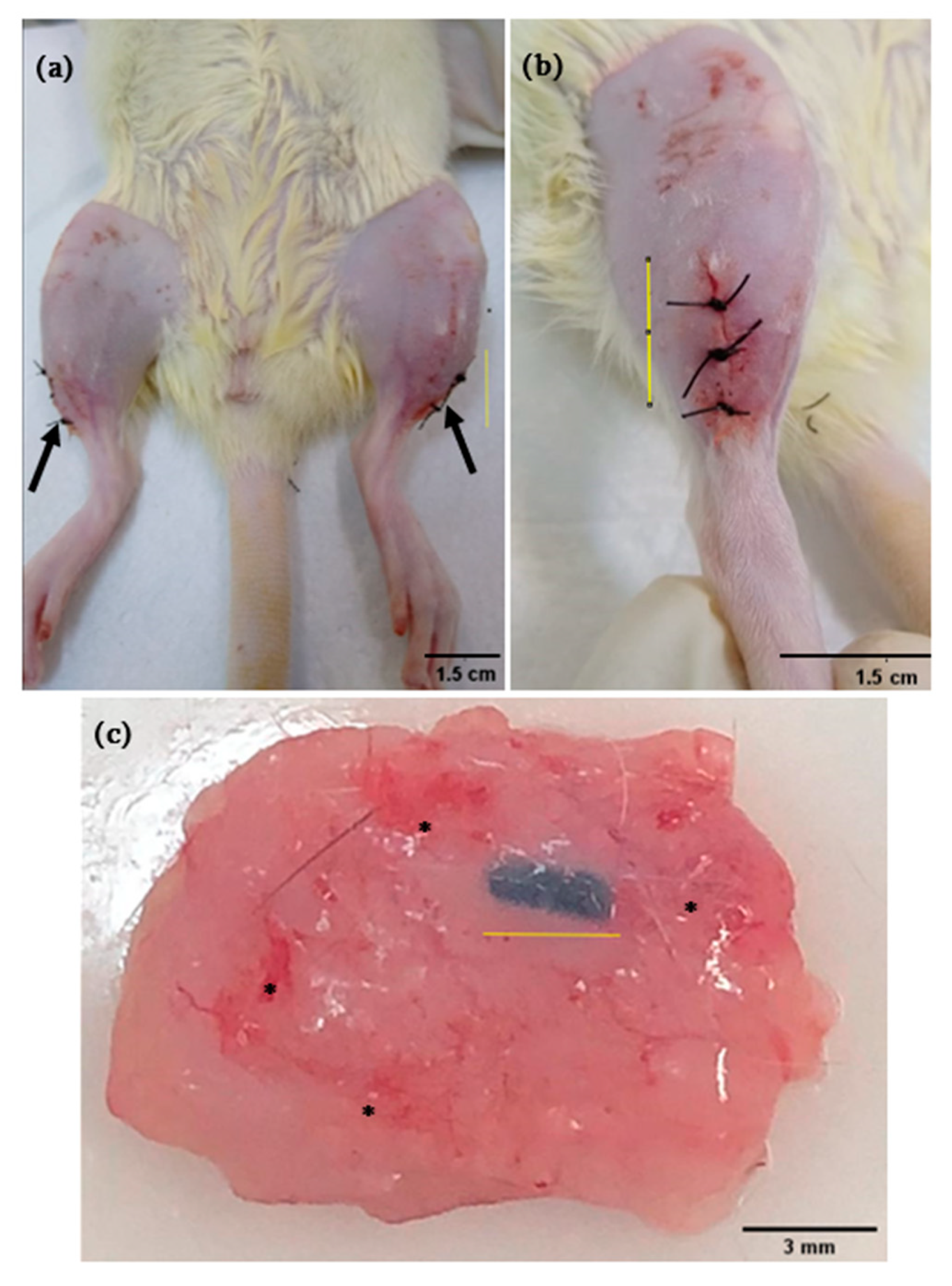 Polymers 13 03382 g003
