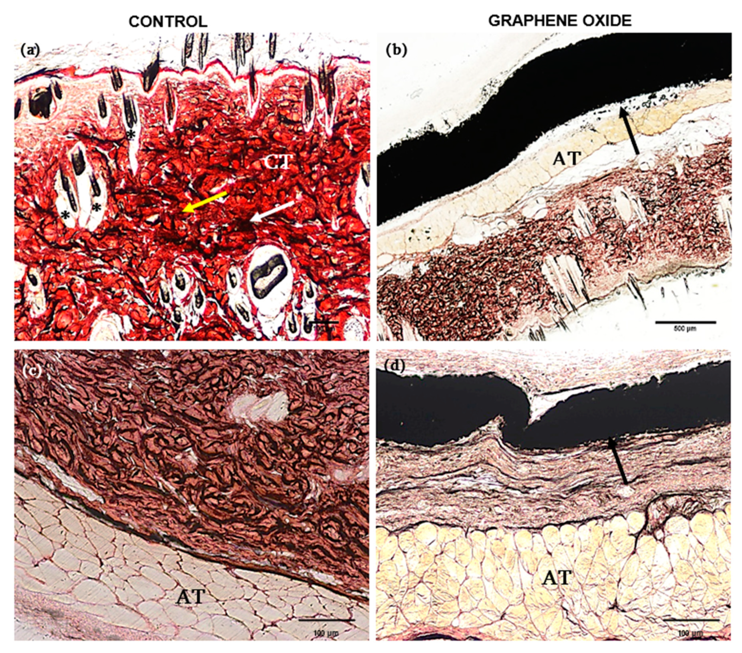 Polymers 13 03382 g004