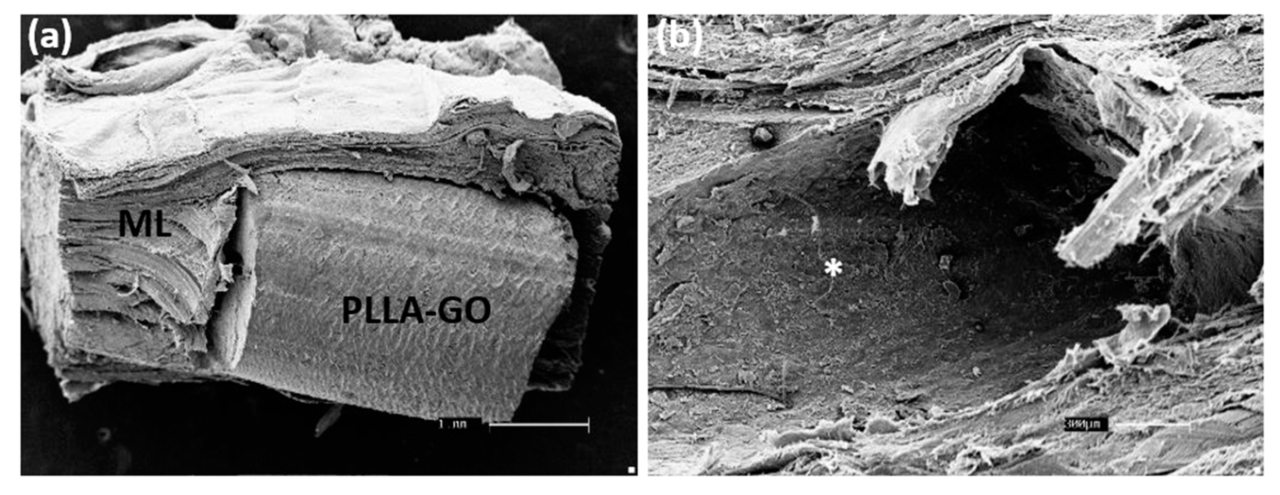 Polymers 13 03382 g007
