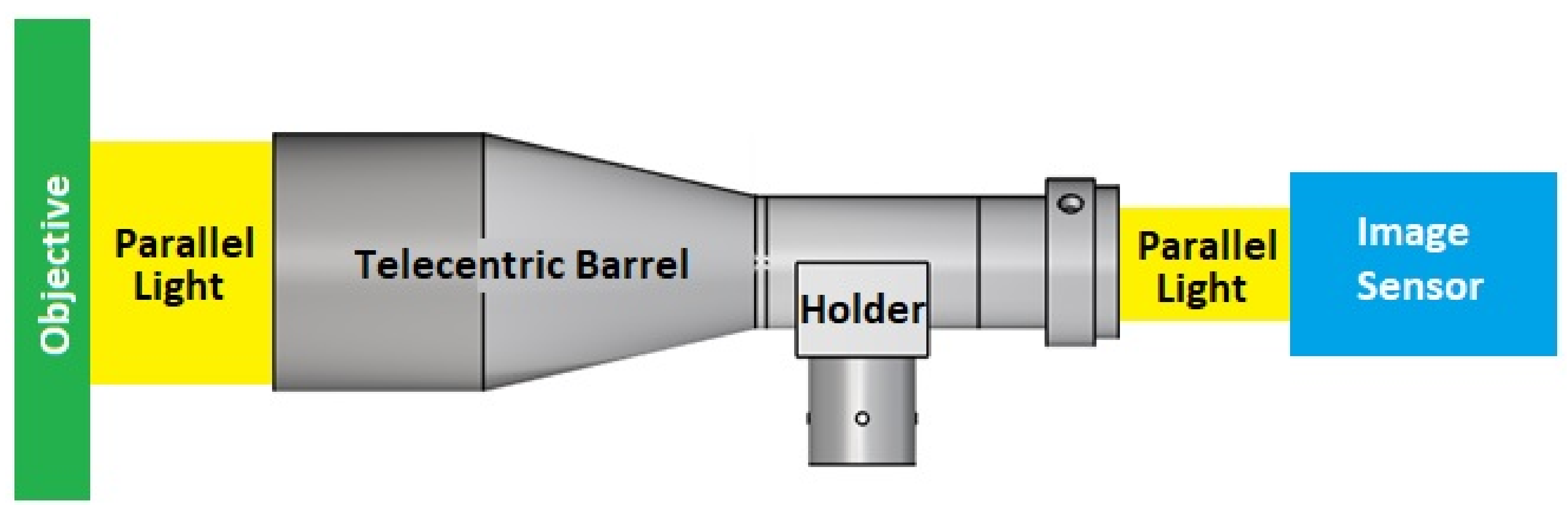 Polymers 13 03419 g001