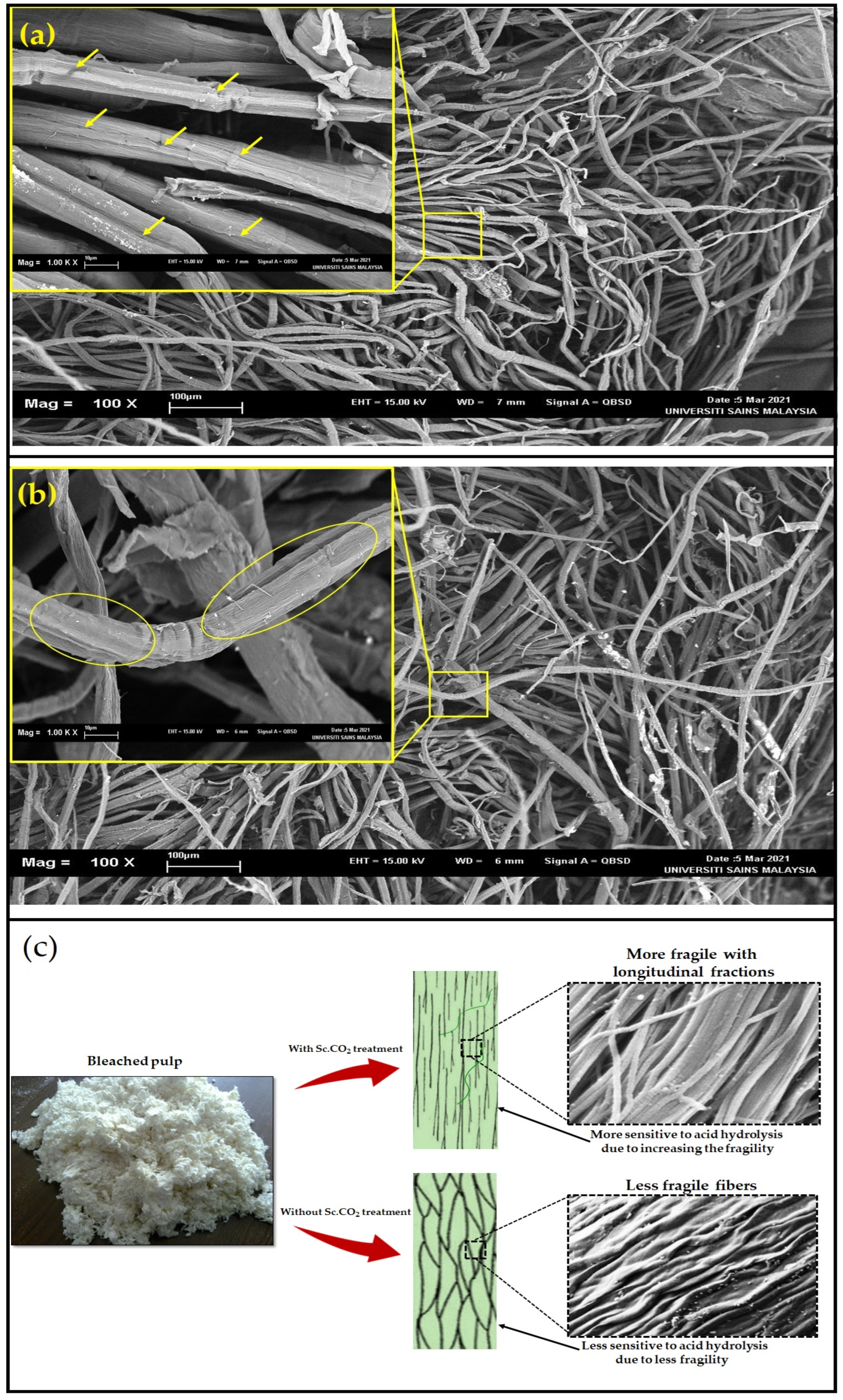 Polymers 14 00326 g002