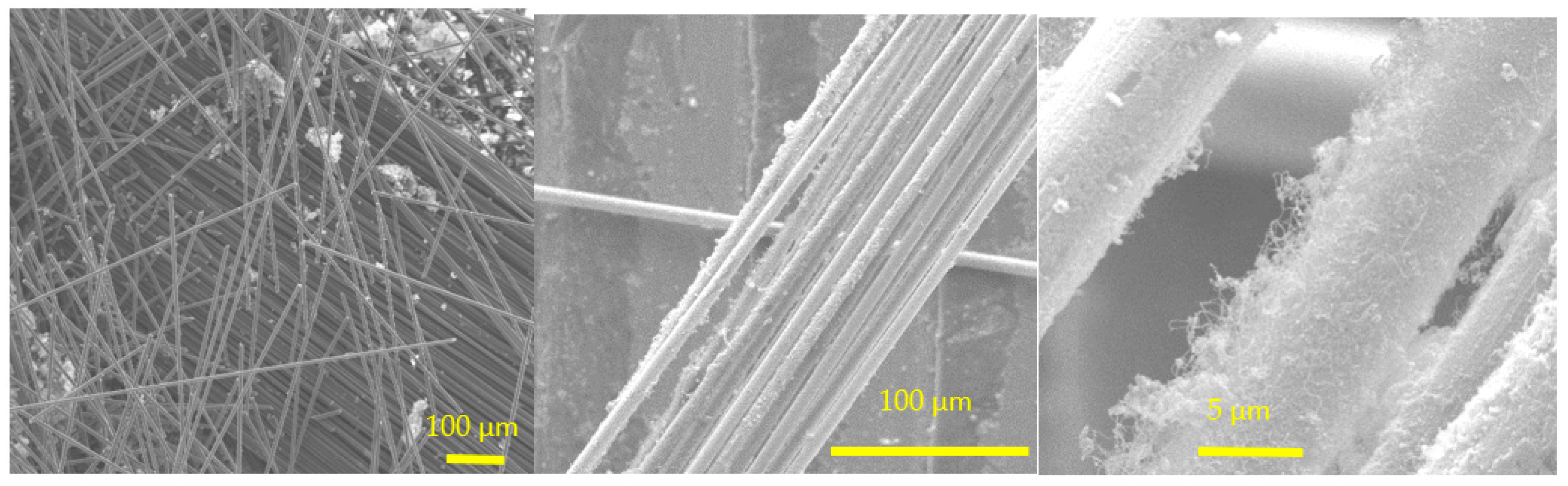 Polymers 14 00470 g005