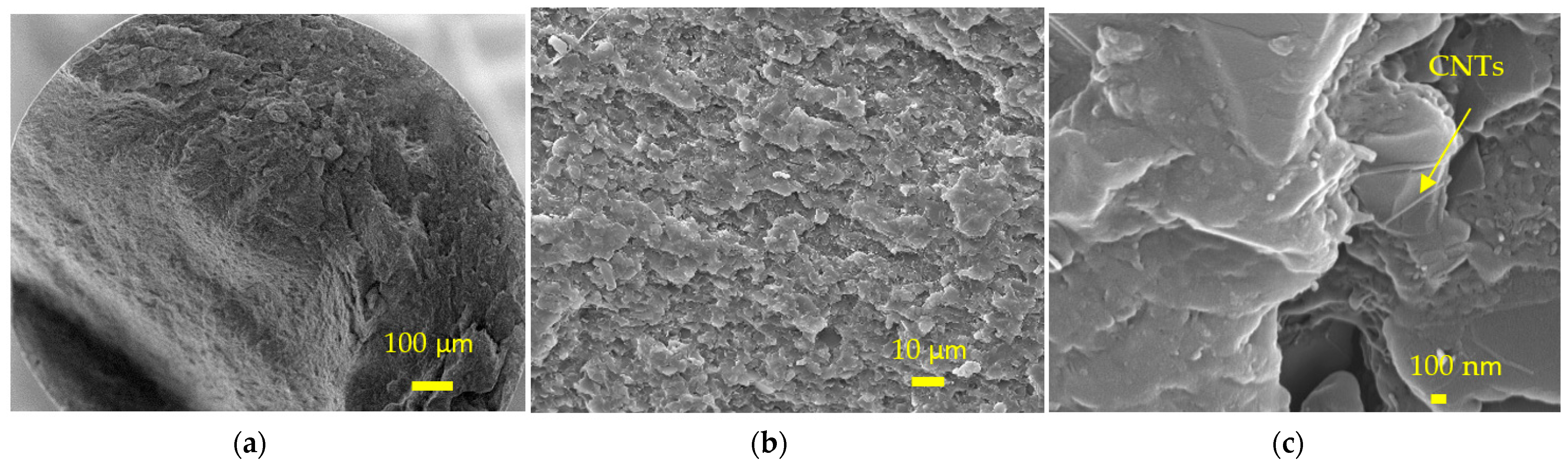 Polymers 14 00470 g008