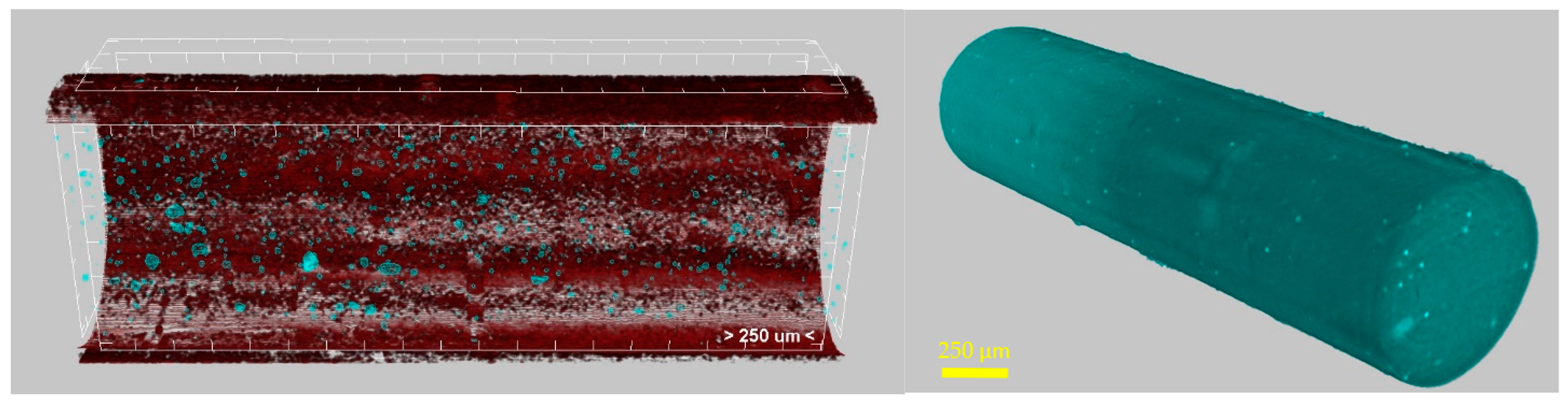 Polymers 14 00470 g009