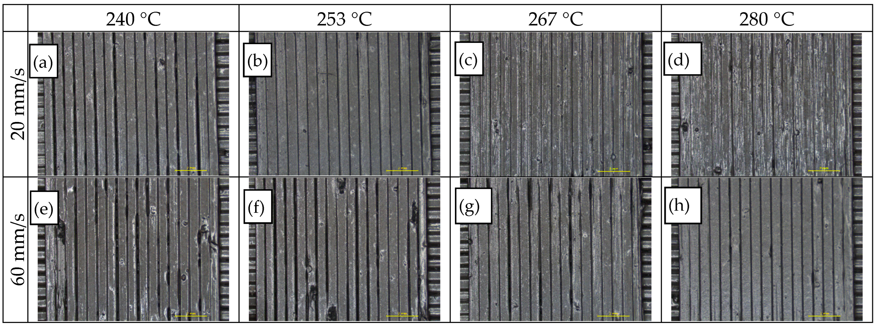 Polymers 14 00470 g012