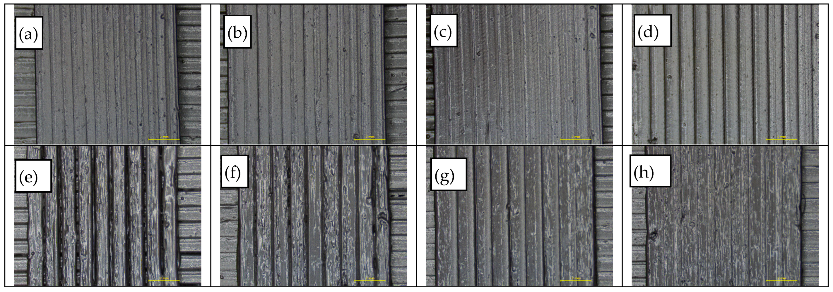 Polymers 14 00470 g014