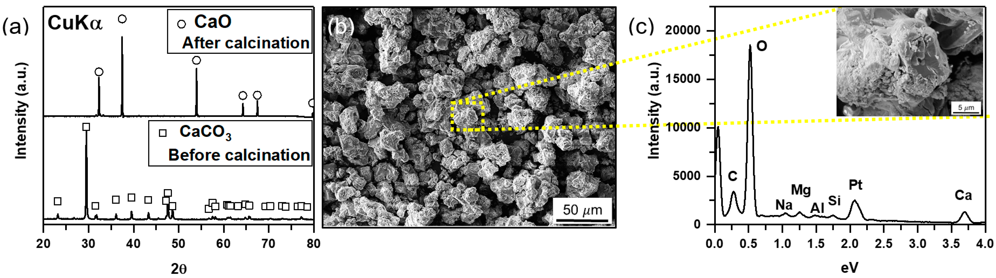 Polymers 14 00656 g001