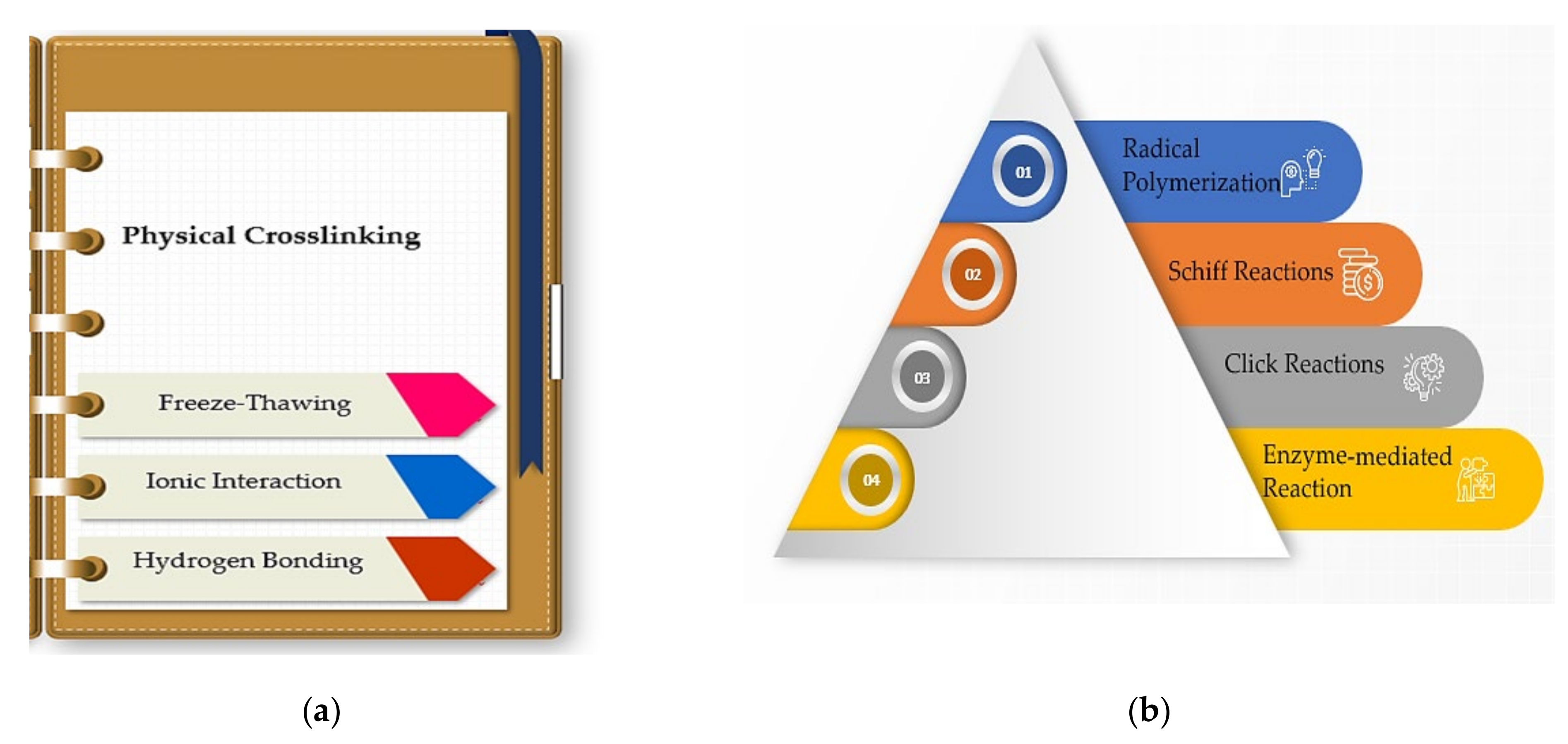 Polymers 14 00799 g003