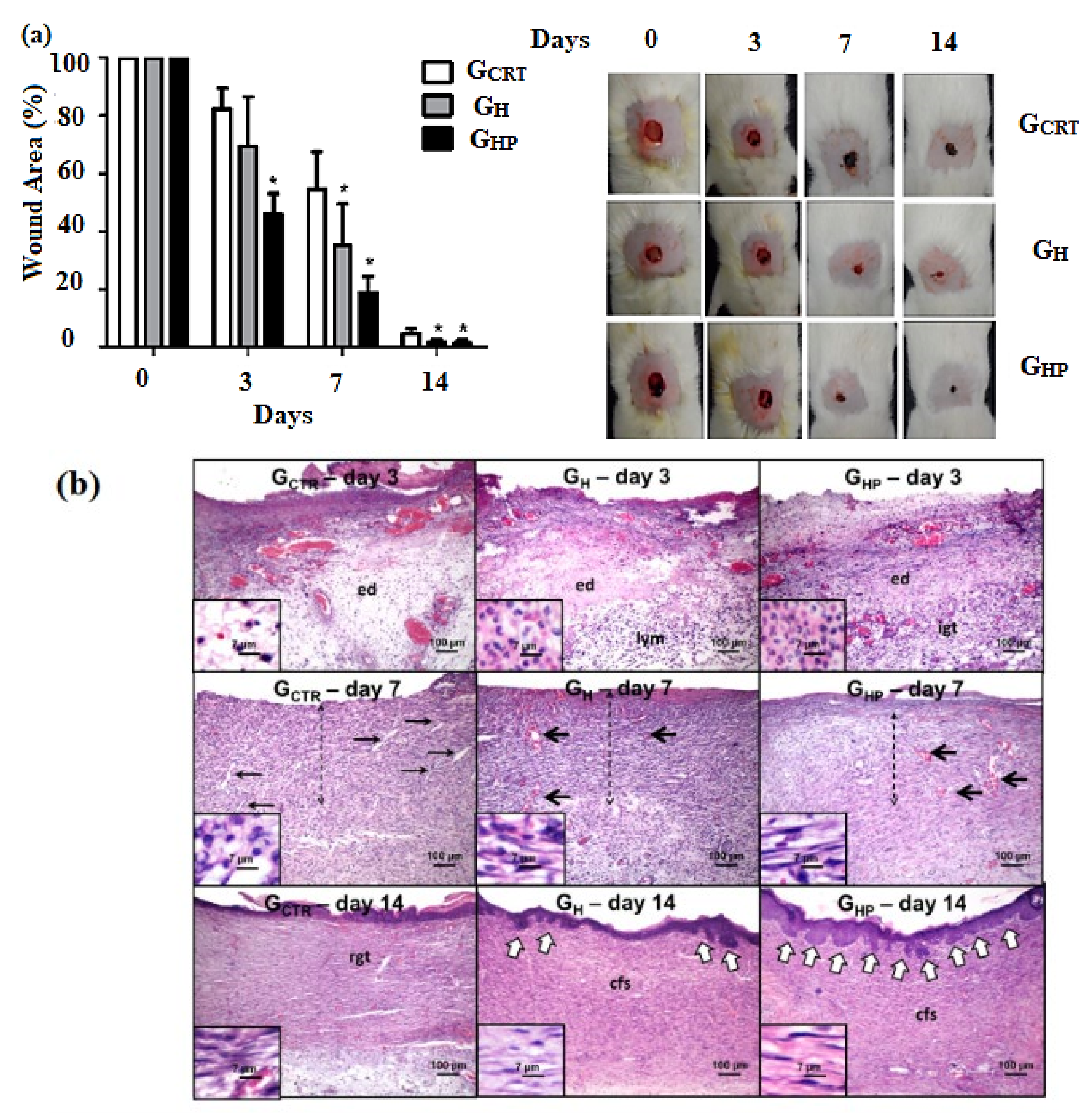 Polymers 14 00799 g007