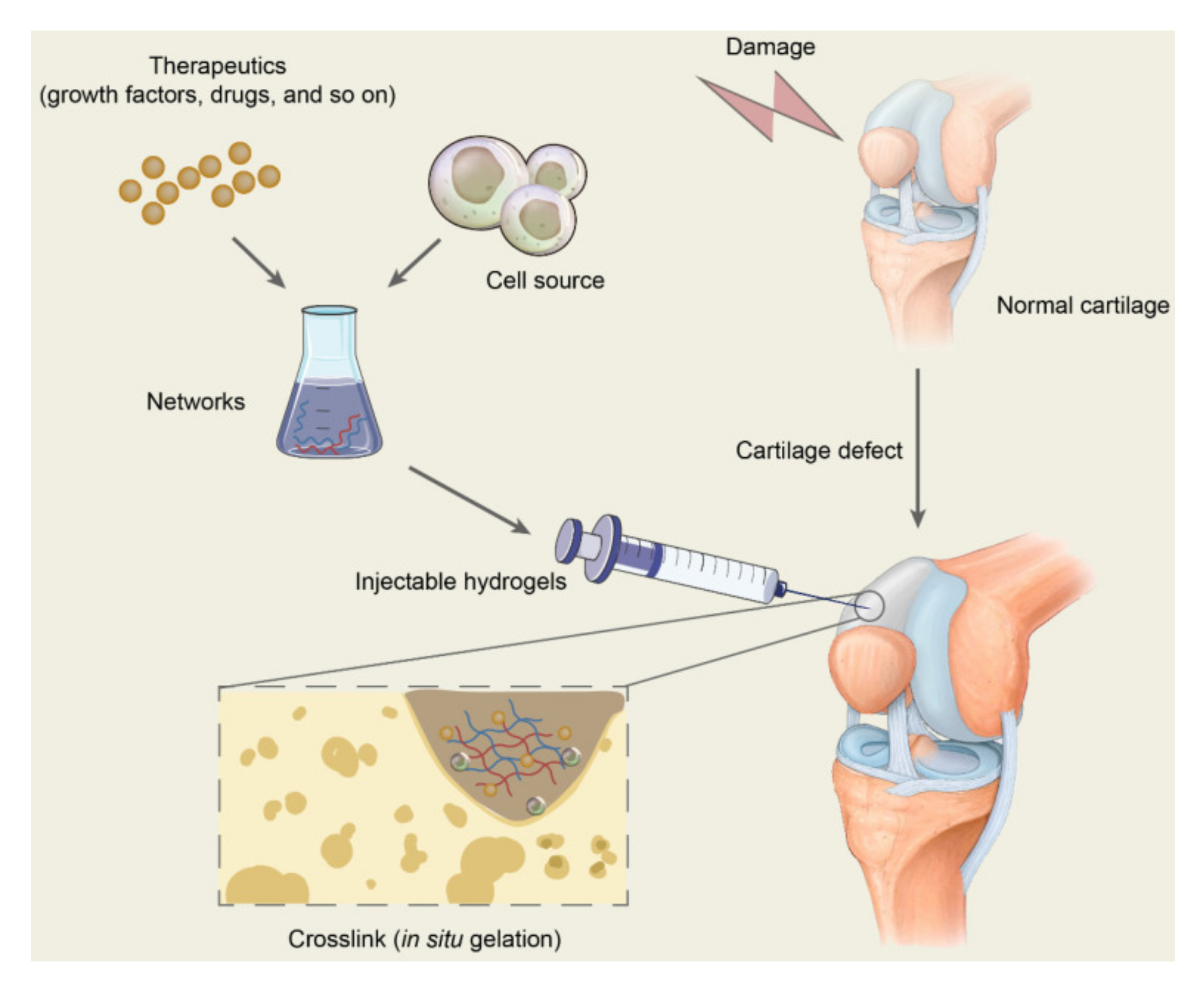 Polymers 14 00839 g002